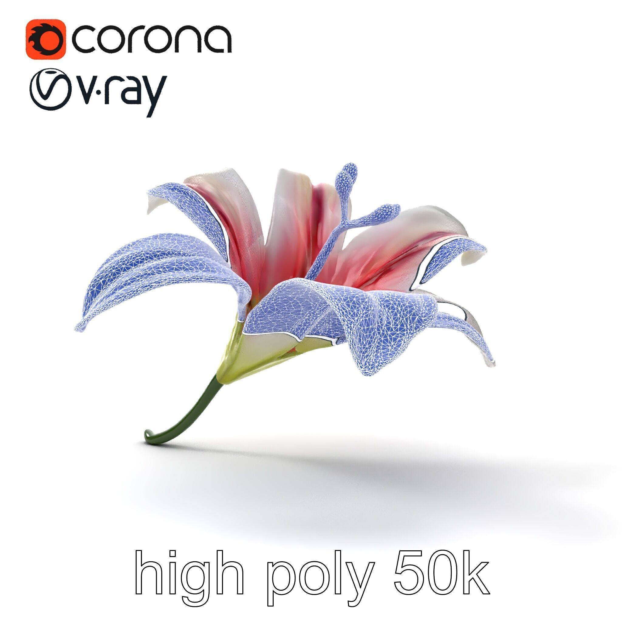 Martagon Lily Floral Model Pack with Intricate Petals Low-poly 3D model_25