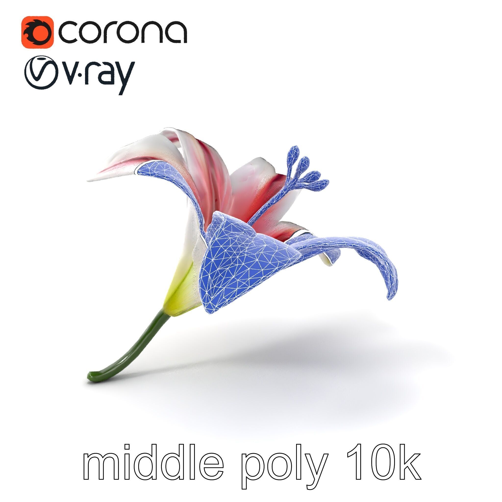 Martagon Lily Floral Model Pack with Intricate Petals Low-poly 3D model_5