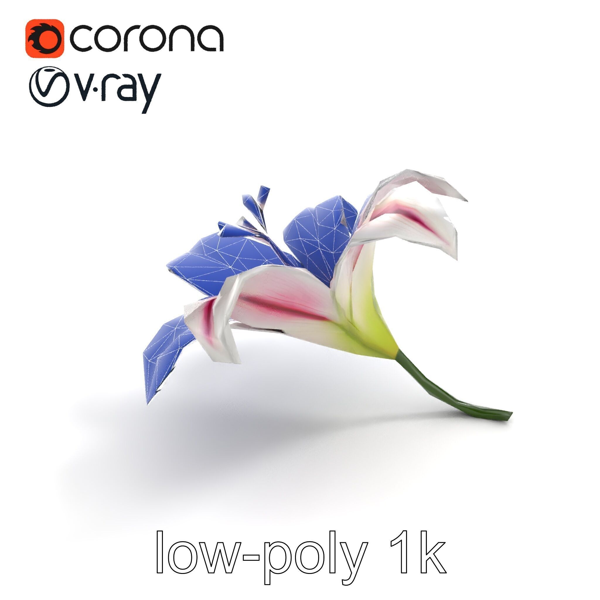 Martagon Lily Floral Model Pack with Intricate Petals Low-poly 3D model_10
