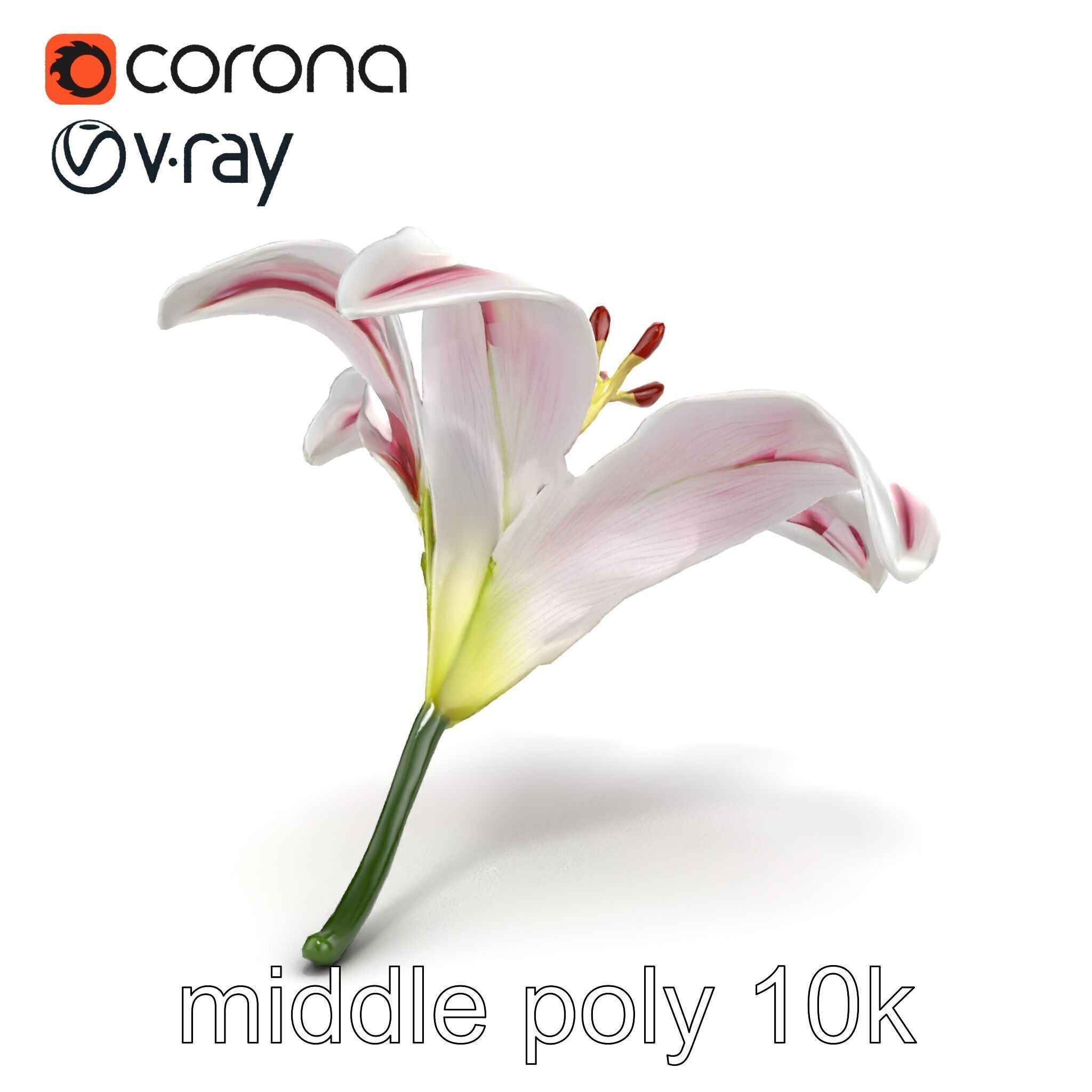 Martagon Lily Floral Model Pack with Intricate Petals Low-poly 3D model_28