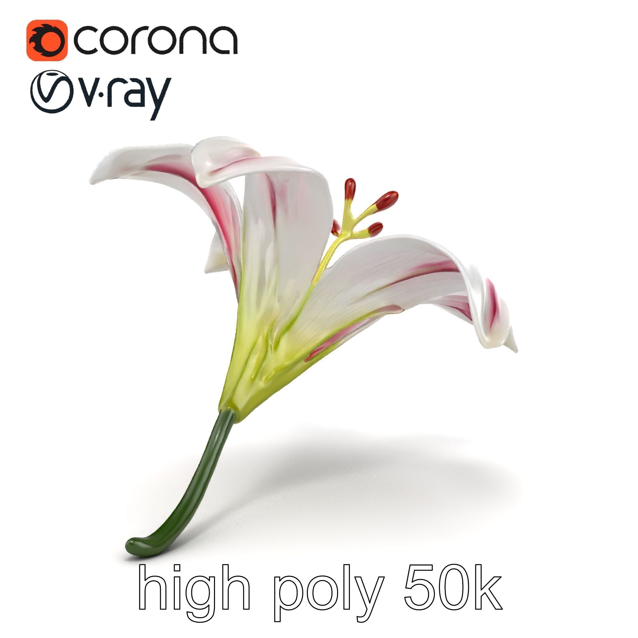Martagon Lily Floral Model Pack with Intricate Petals Low-poly 3D model_15