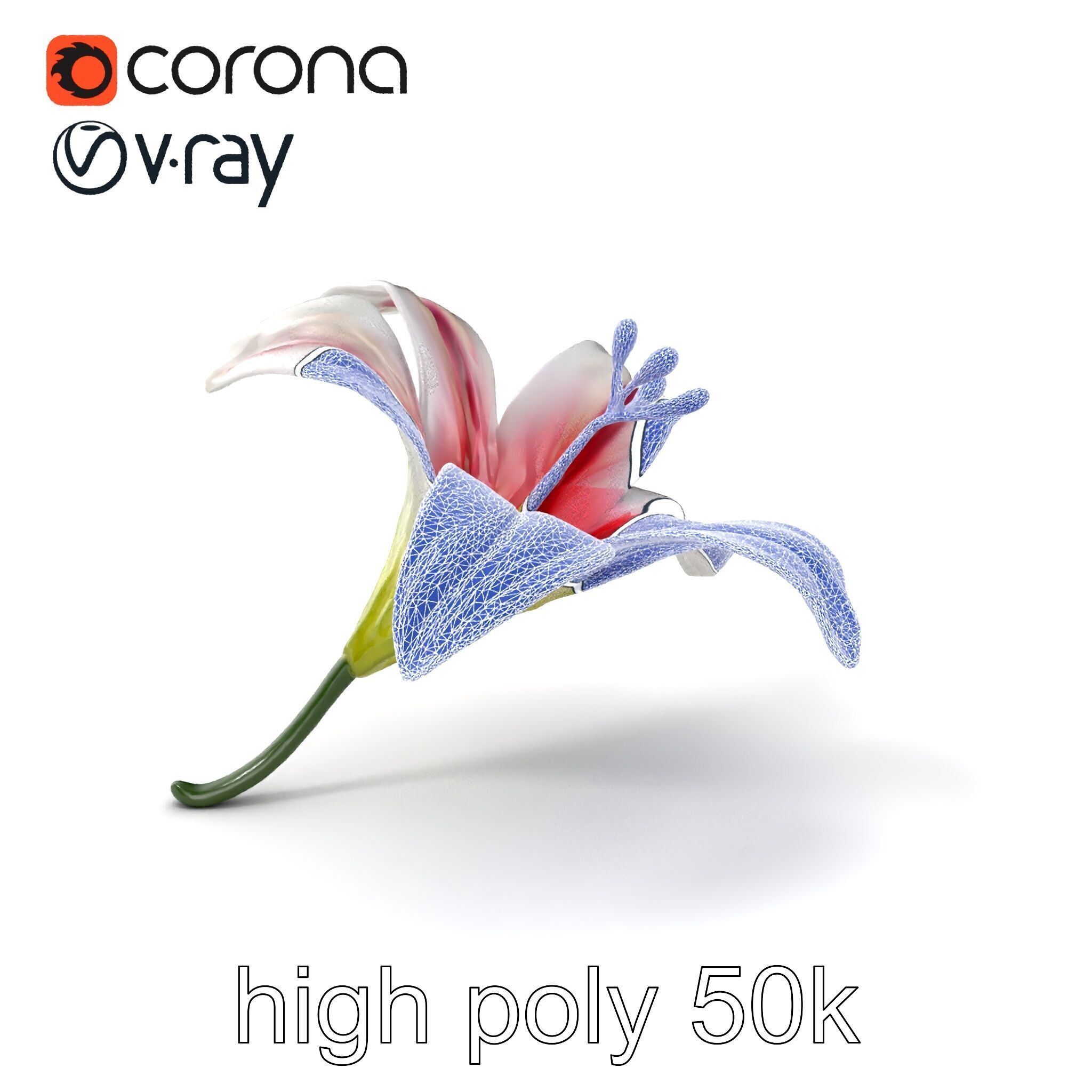 Martagon Lily Floral Model Pack with Intricate Petals Low-poly 3D model_1