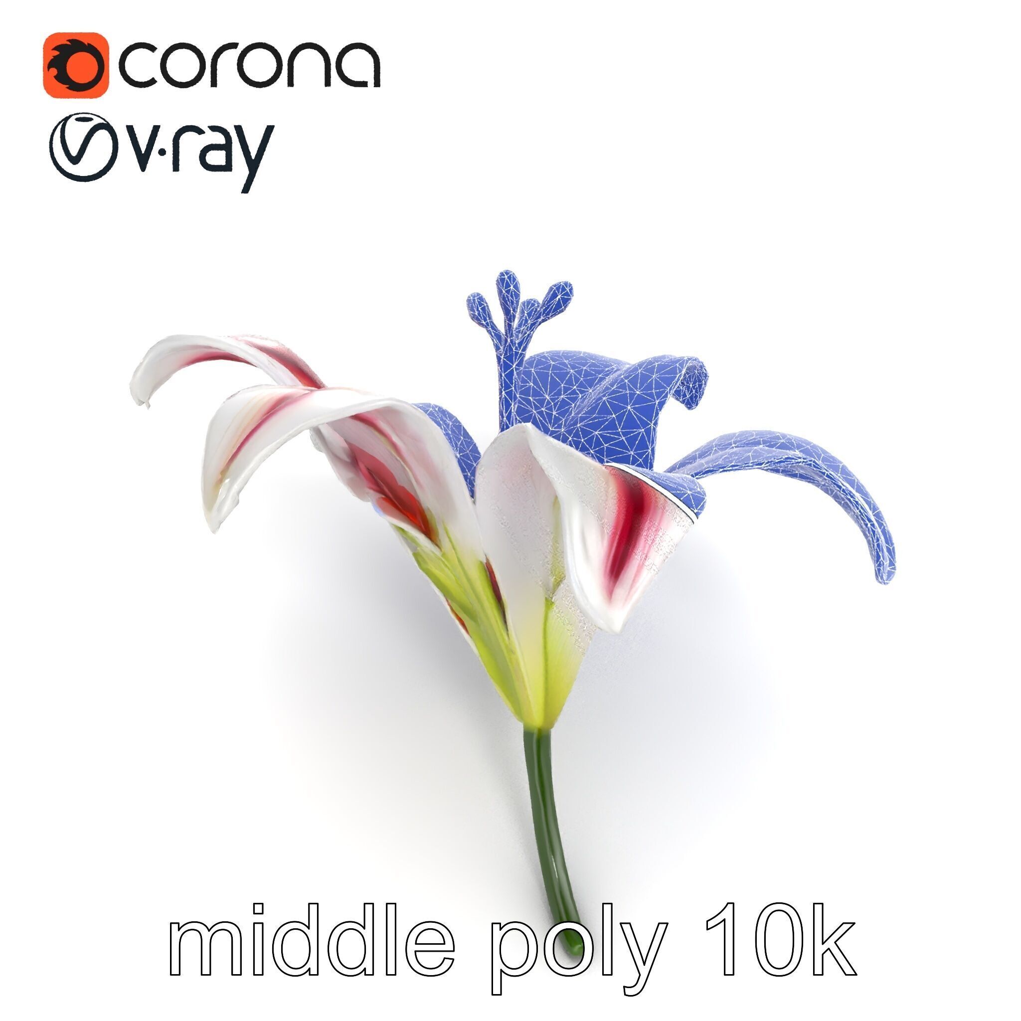 Martagon Lily Floral Model Pack with Intricate Petals Low-poly 3D model_29