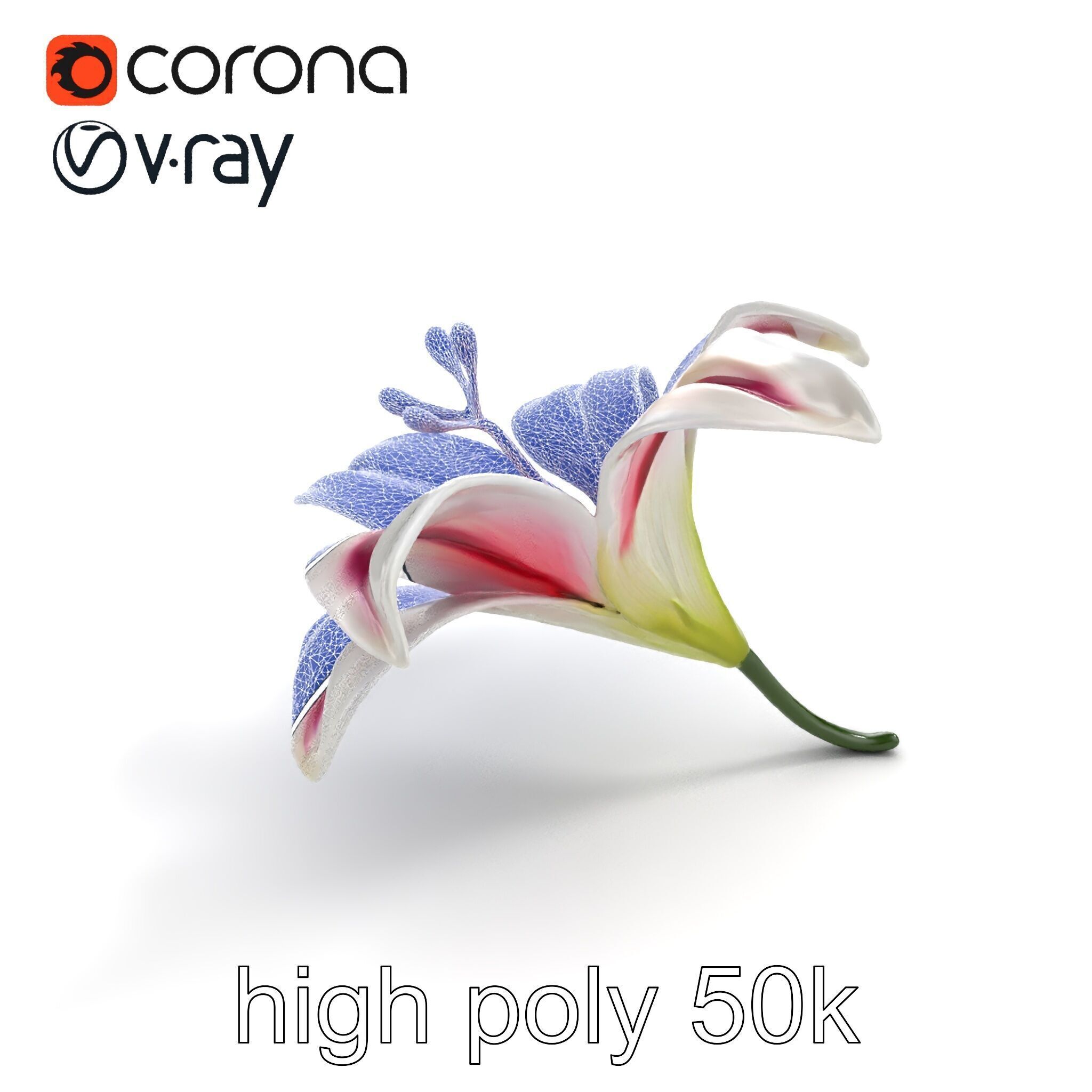 Martagon Lily Floral Model Pack with Intricate Petals Low-poly 3D model_16