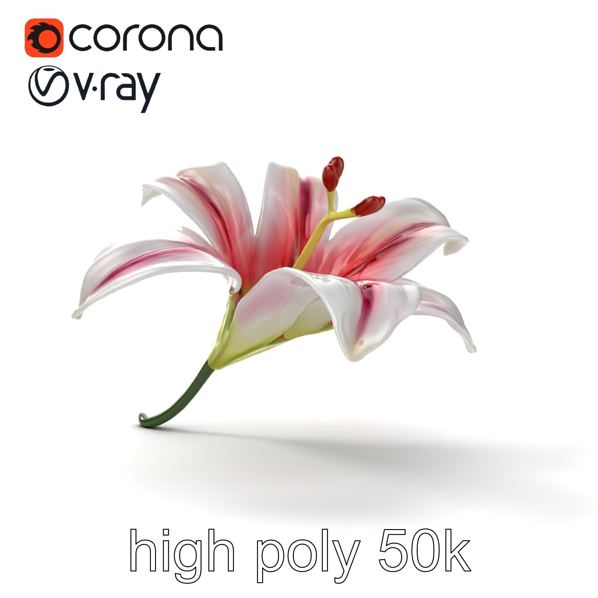 Martagon Lily Floral Model Pack with Intricate Petals Low-poly 3D model_20