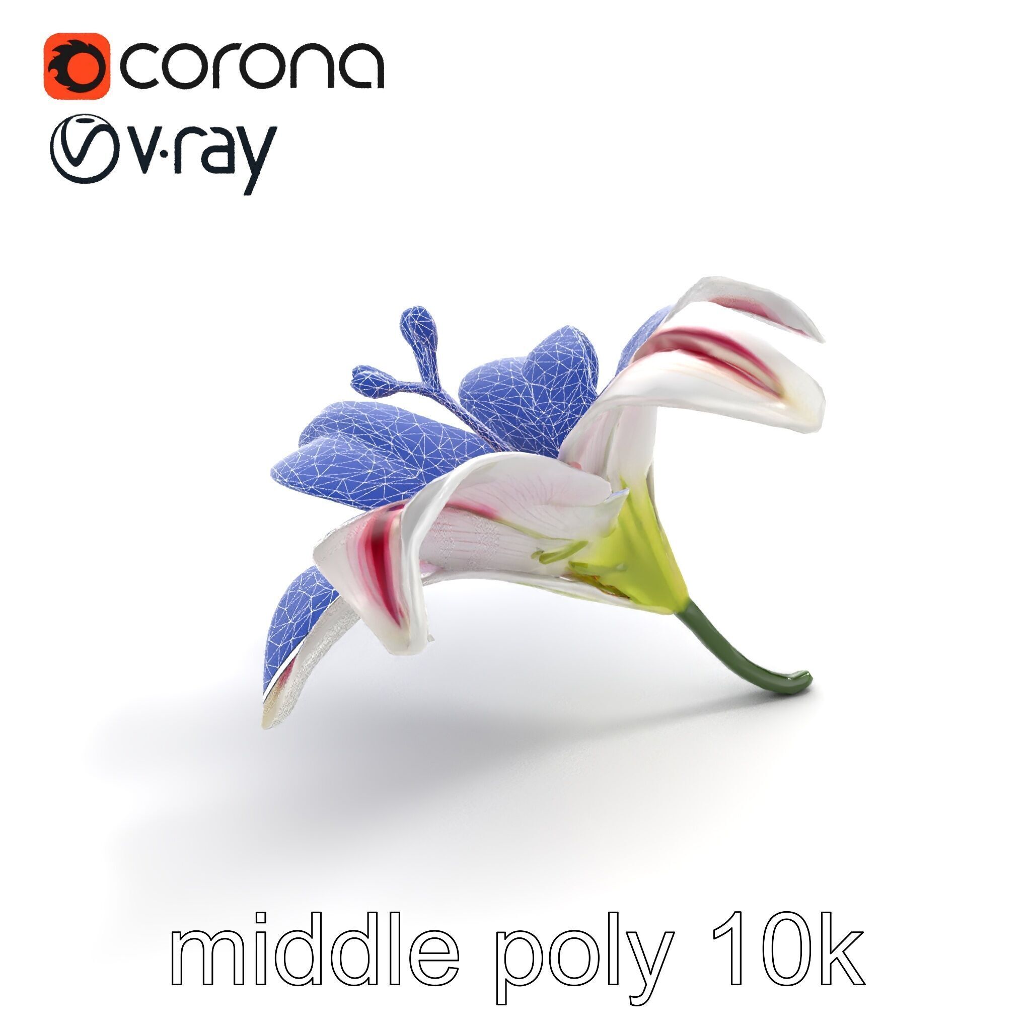 Martagon Lily Floral Model Pack with Intricate Petals Low-poly 3D model_30