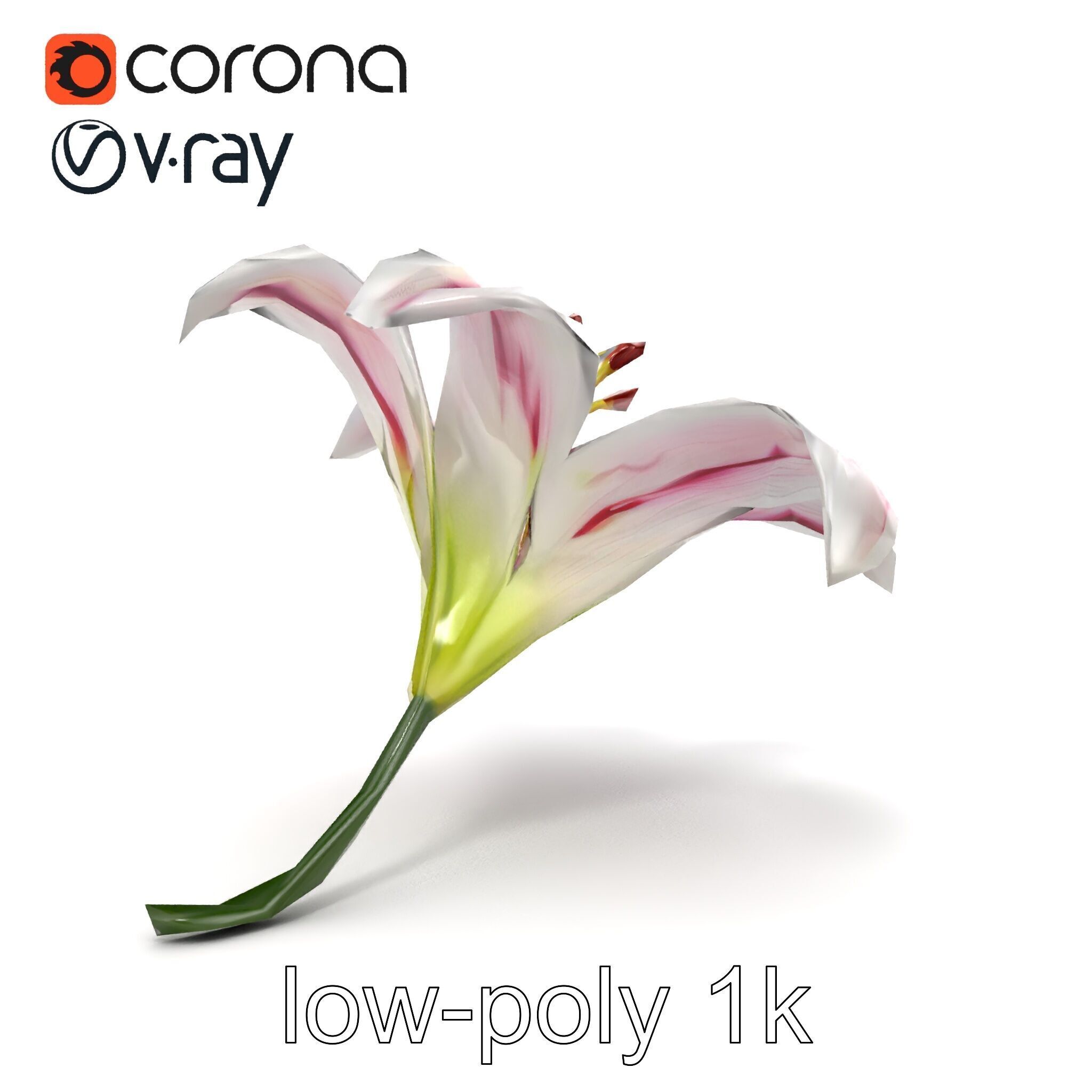Martagon Lily Floral Model Pack with Intricate Petals Low-poly 3D model_18