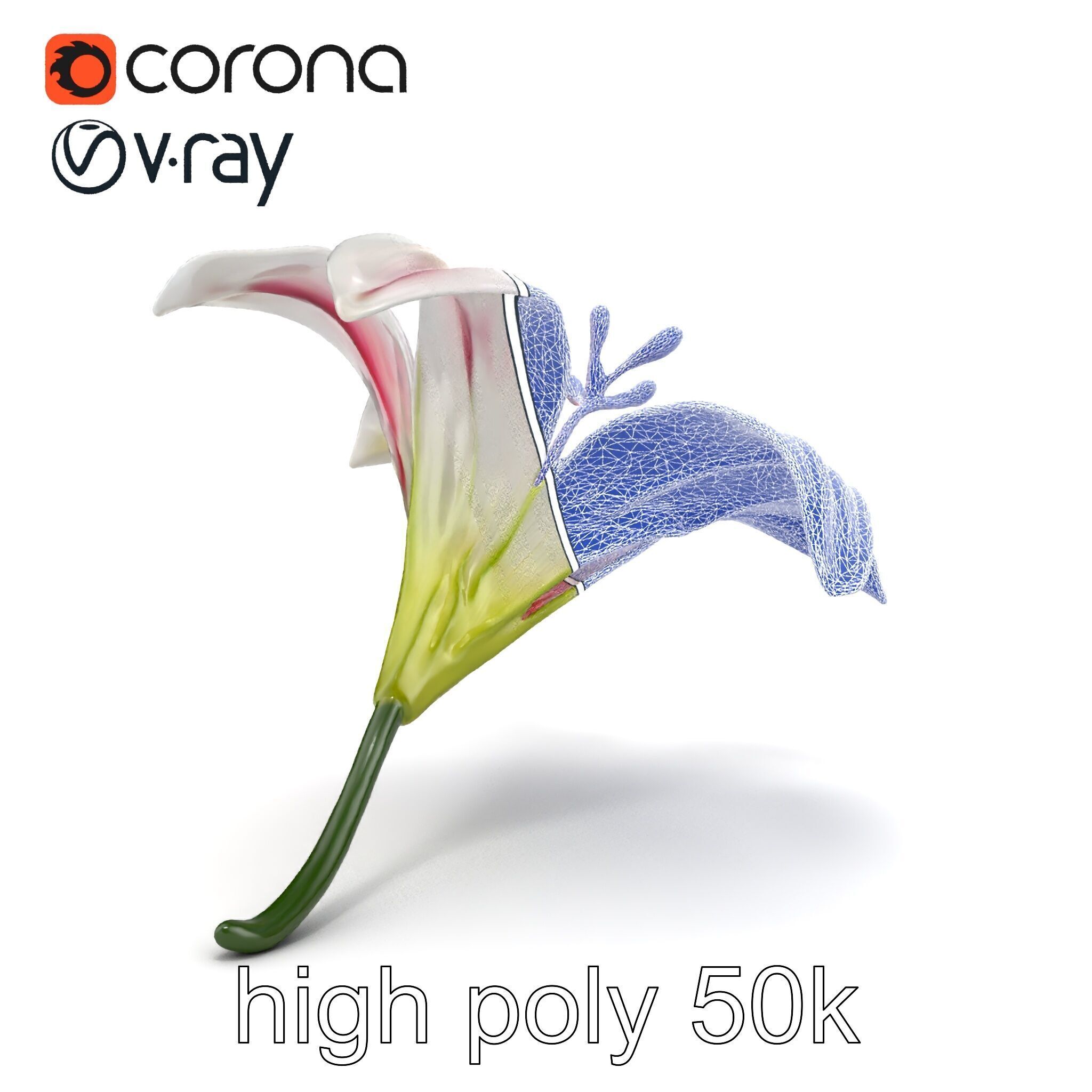 Martagon Lily Floral Model Pack with Intricate Petals Low-poly 3D model_24