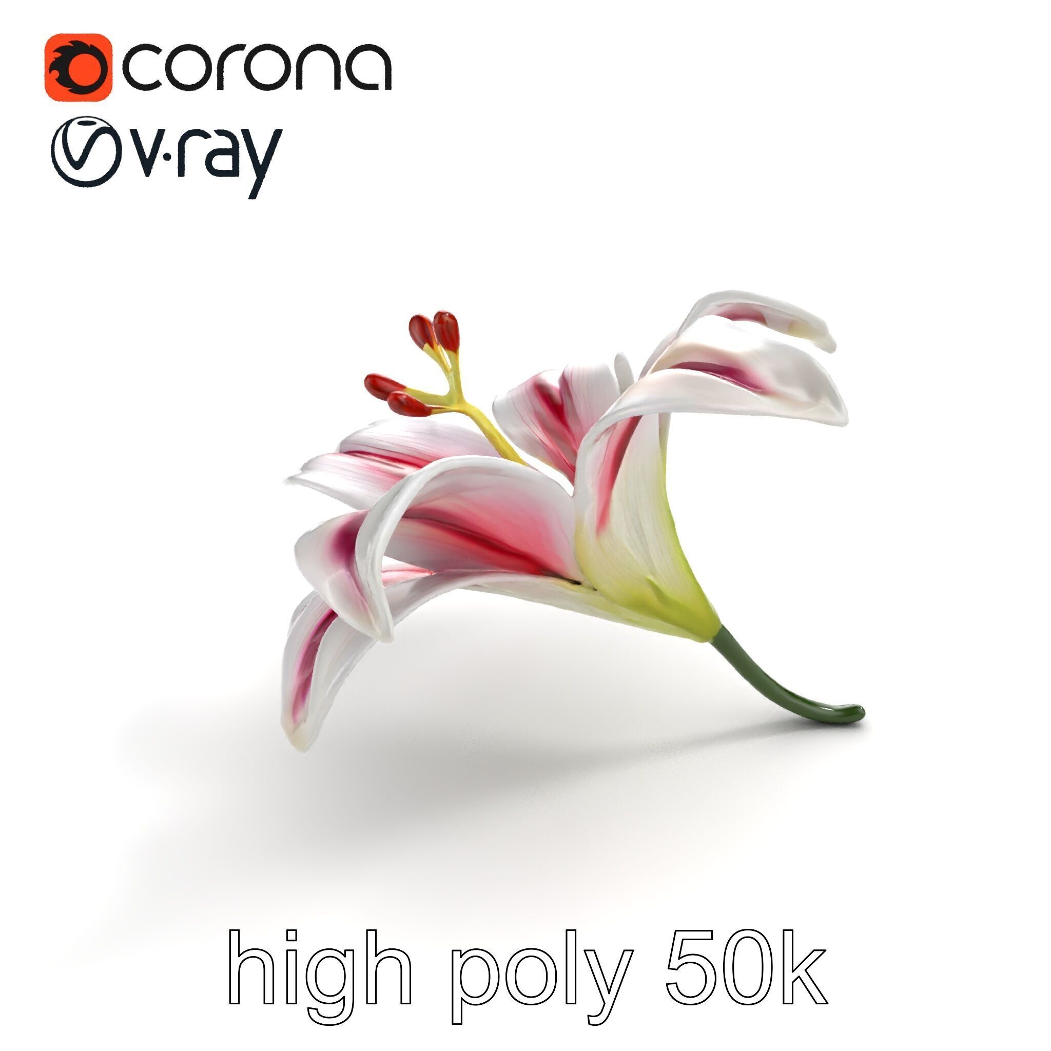 Martagon Lily Floral Model Pack with Intricate Petals Low-poly 3D model_9