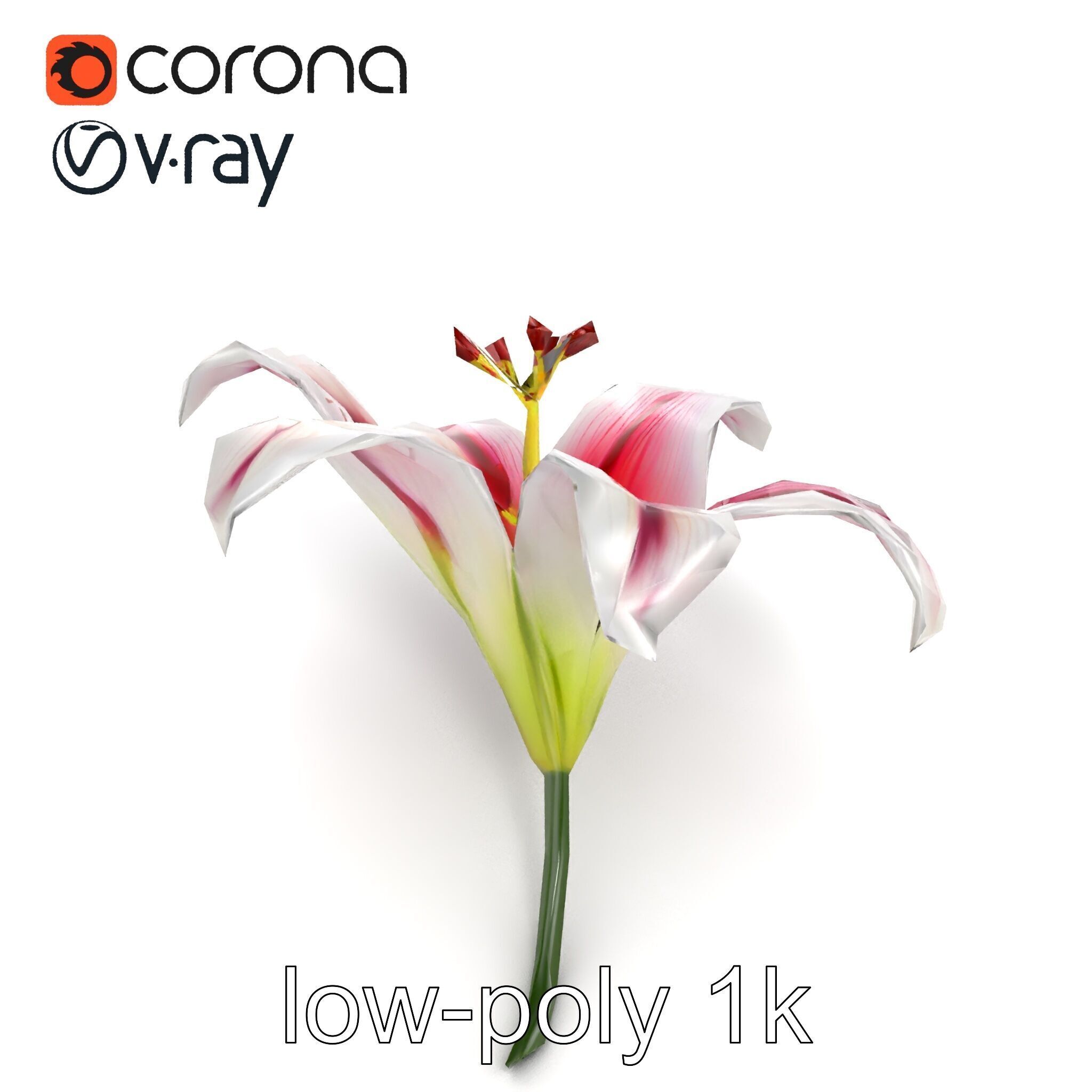 Martagon Lily Floral Model Pack with Intricate Petals Low-poly 3D model_23