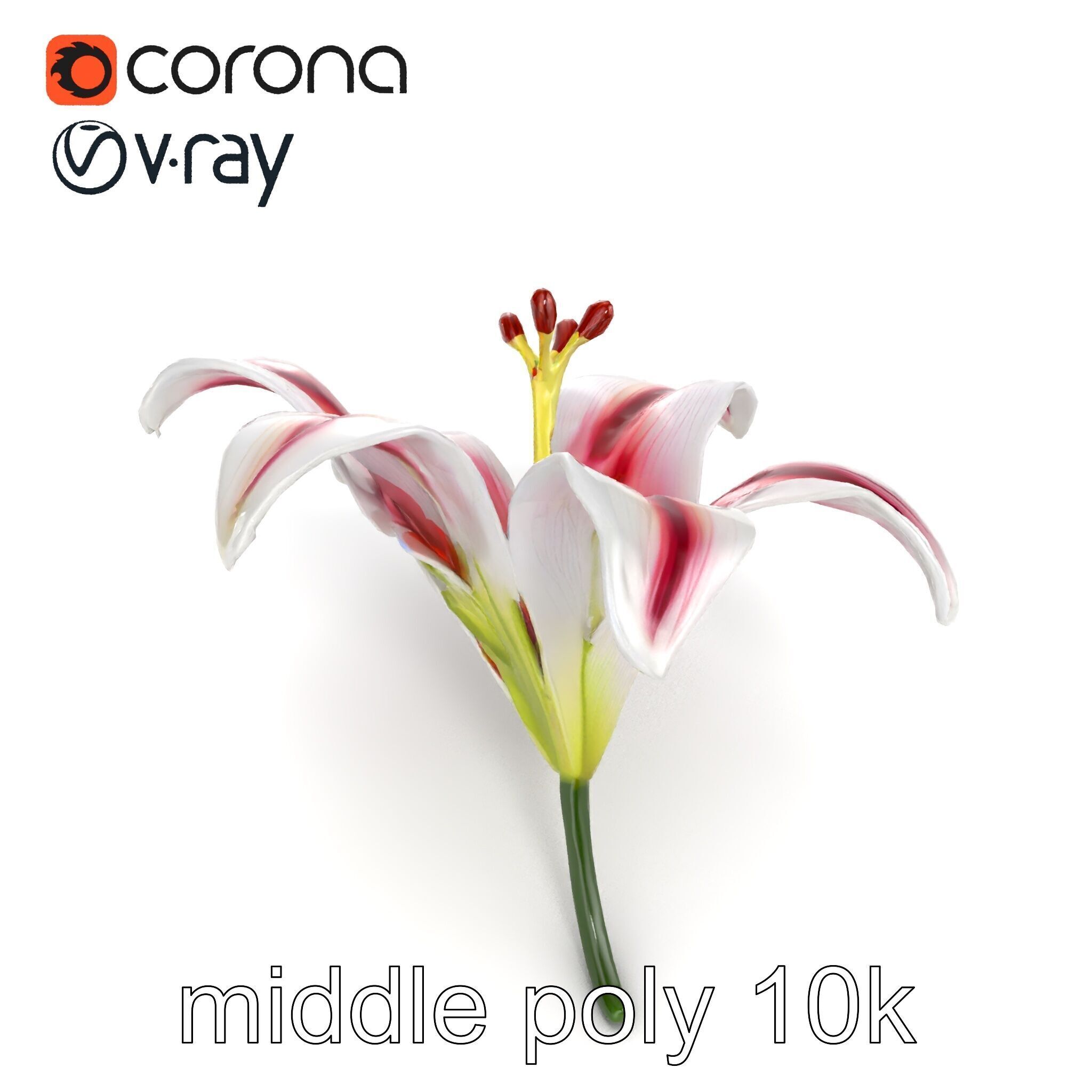 Martagon Lily Floral Model Pack with Intricate Petals Low-poly 3D model_11