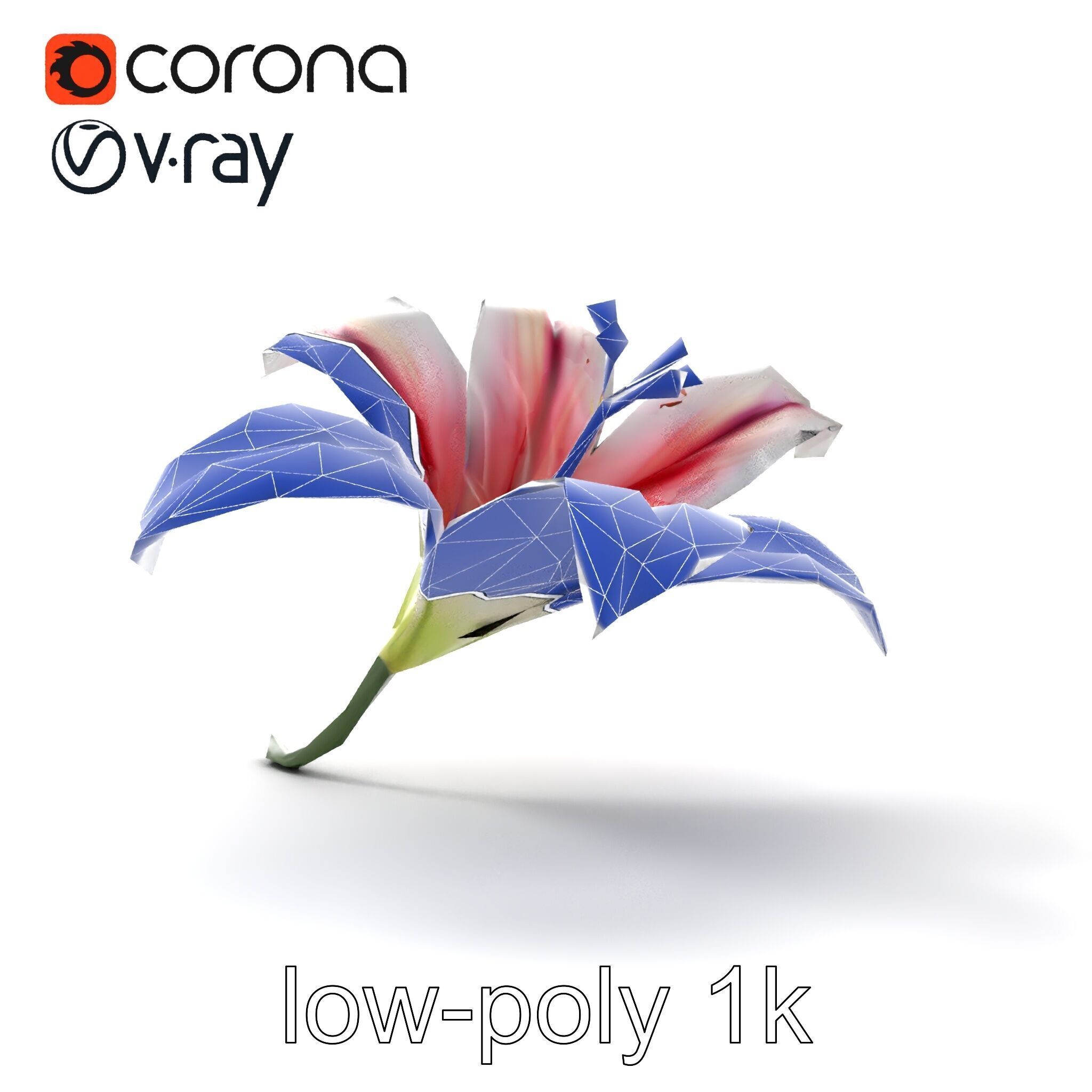 Martagon Lily Floral Model Pack with Intricate Petals Low-poly 3D model_22