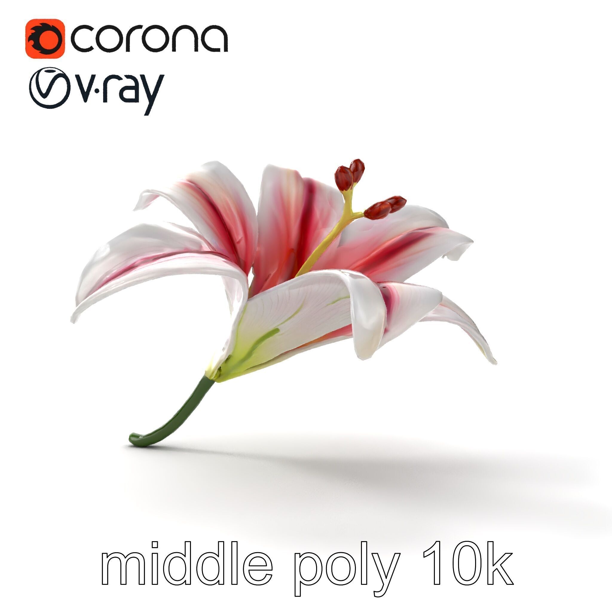 Martagon Lily Floral Model Pack with Intricate Petals Low-poly 3D model_21