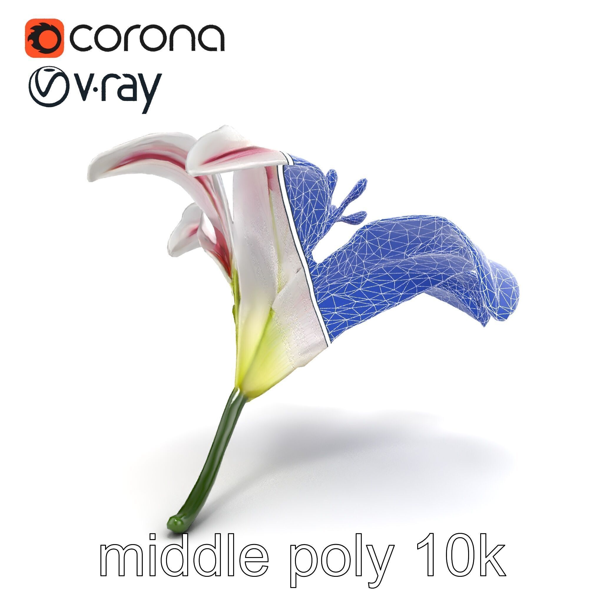 Martagon Lily Floral Model Pack with Intricate Petals Low-poly 3D model_27