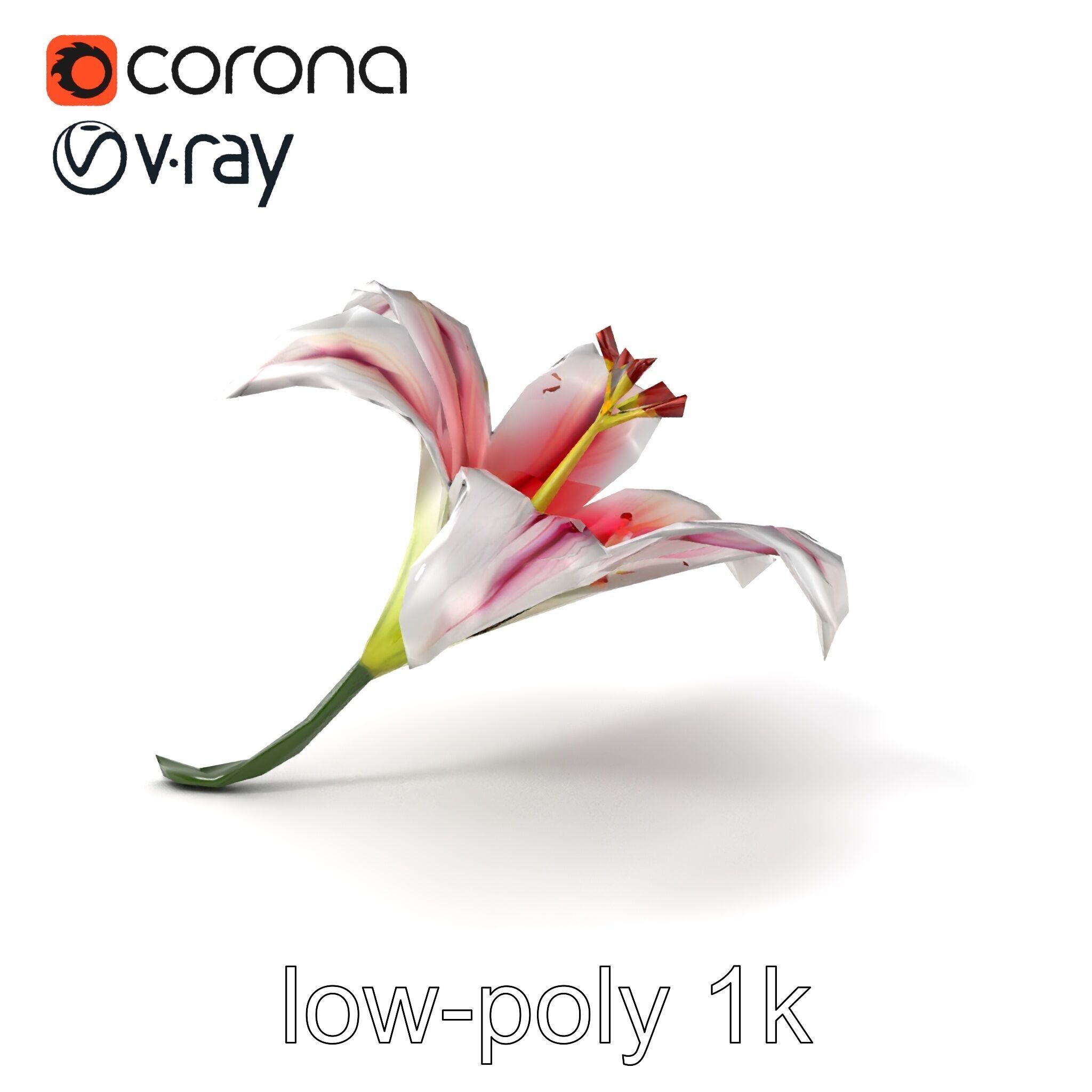 Martagon Lily Floral Model Pack with Intricate Petals Low-poly 3D model_4