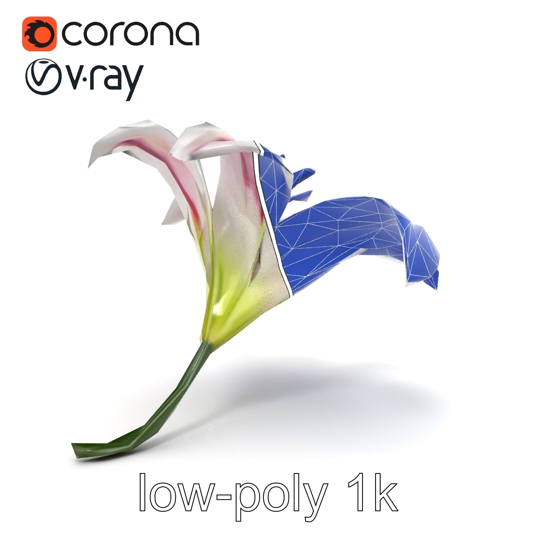 Martagon Lily Floral Model Pack with Intricate Petals Low-poly 3D model_17