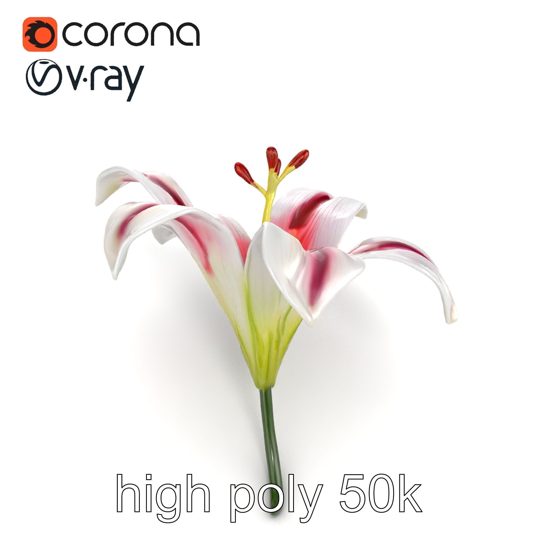 Martagon Lily Floral Model Pack with Intricate Petals Low-poly 3D model_14