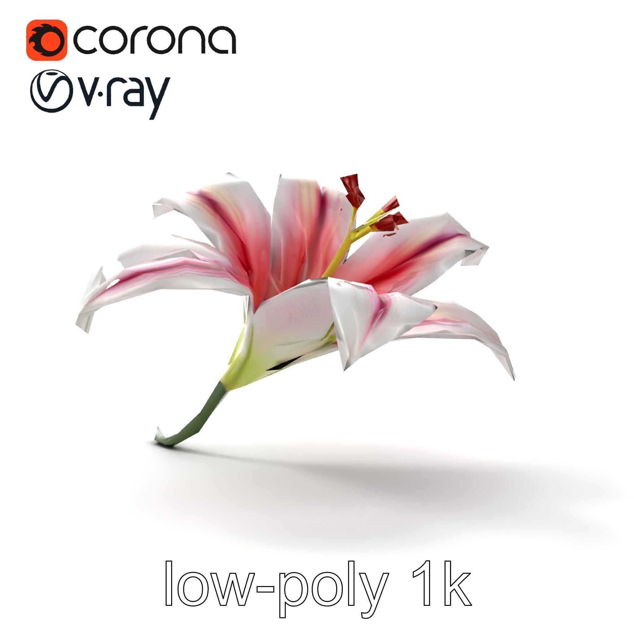 Martagon Lily Floral Model Pack with Intricate Petals Low-poly 3D model_13