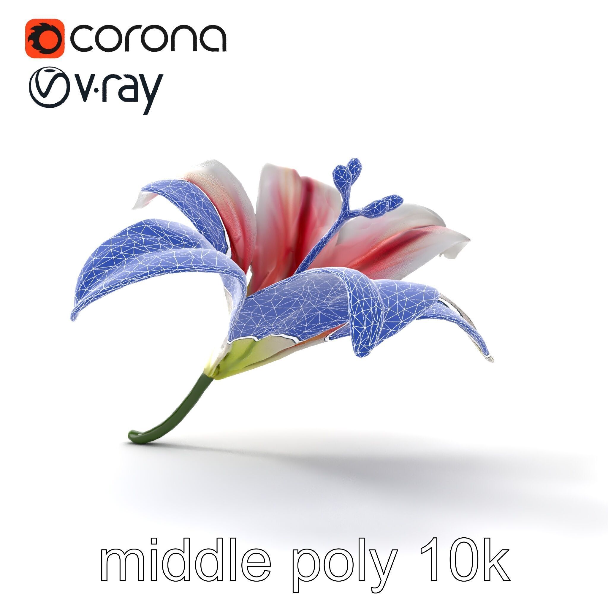 Martagon Lily Floral Model Pack with Intricate Petals Low-poly 3D model_12