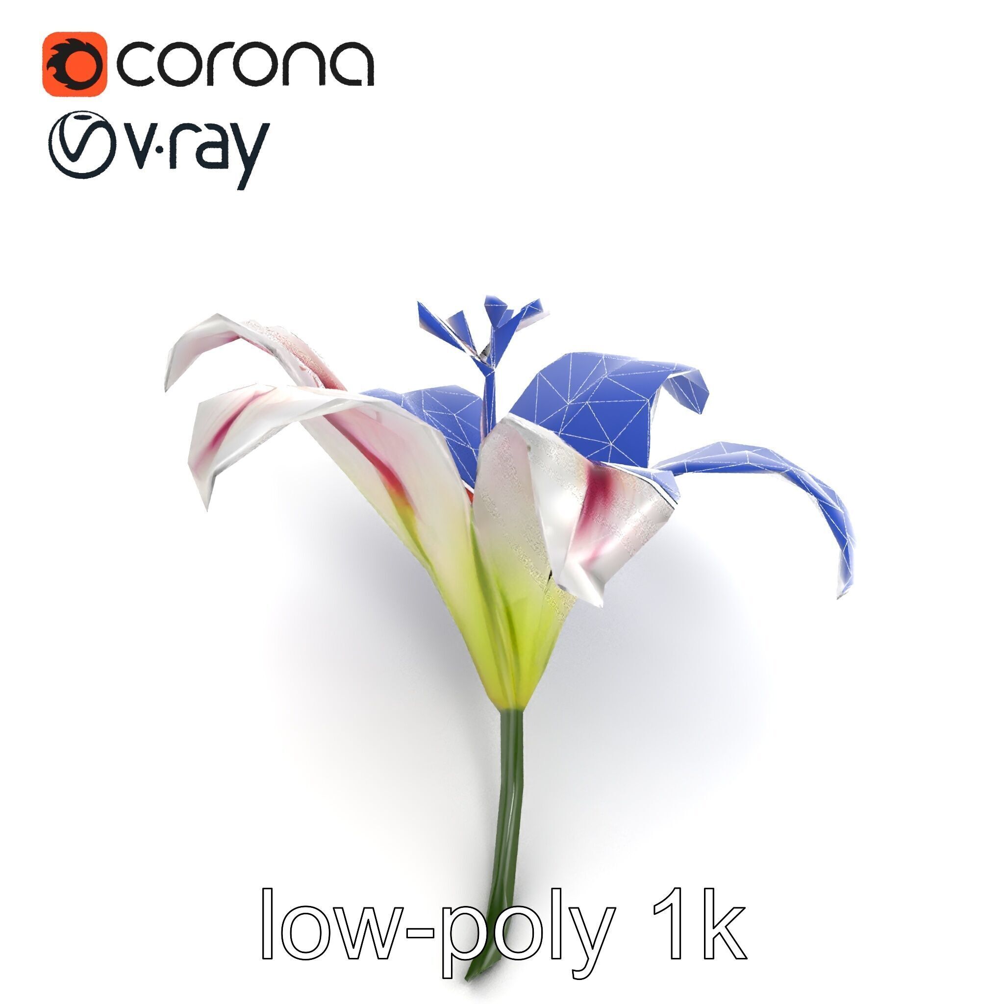 Martagon Lily Floral Model Pack with Intricate Petals Low-poly 3D model_19