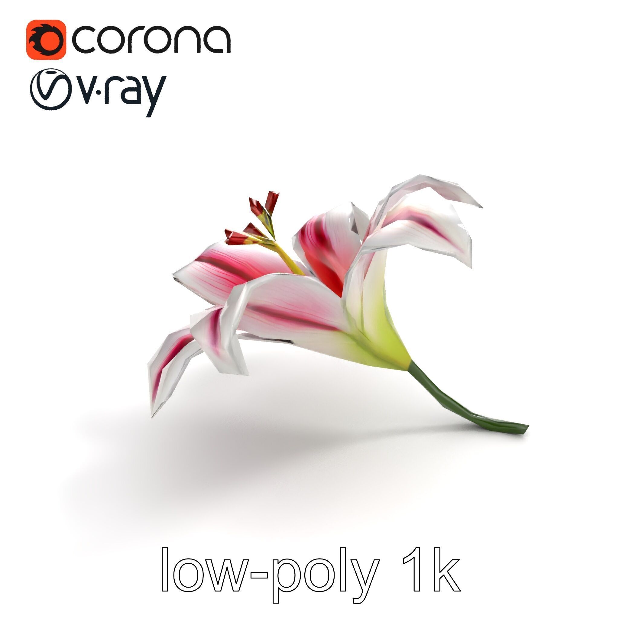 Martagon Lily Floral Model Pack with Intricate Petals Low-poly 3D model_8