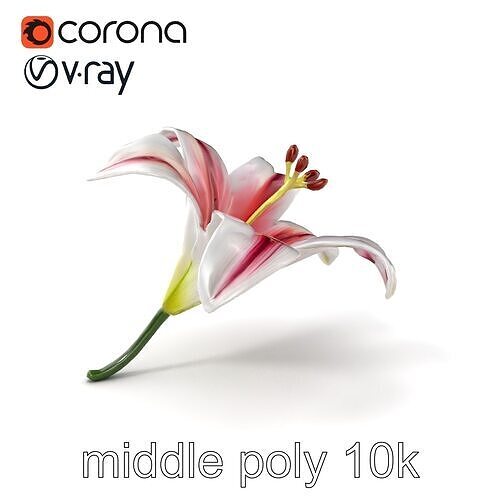 Martagon Lily Floral Model Pack with Intricate Petals Low-poly 3D model