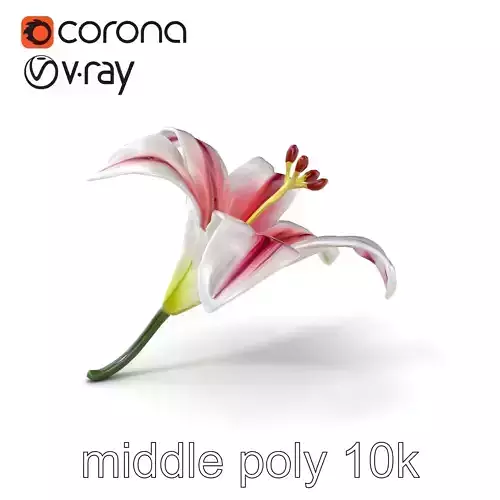 Martagon Lily Floral Model Pack with Intricate Petals Low-poly 3D model Martagon Lily Floral Model Pack with Intricate Petals Low-poly 3D model