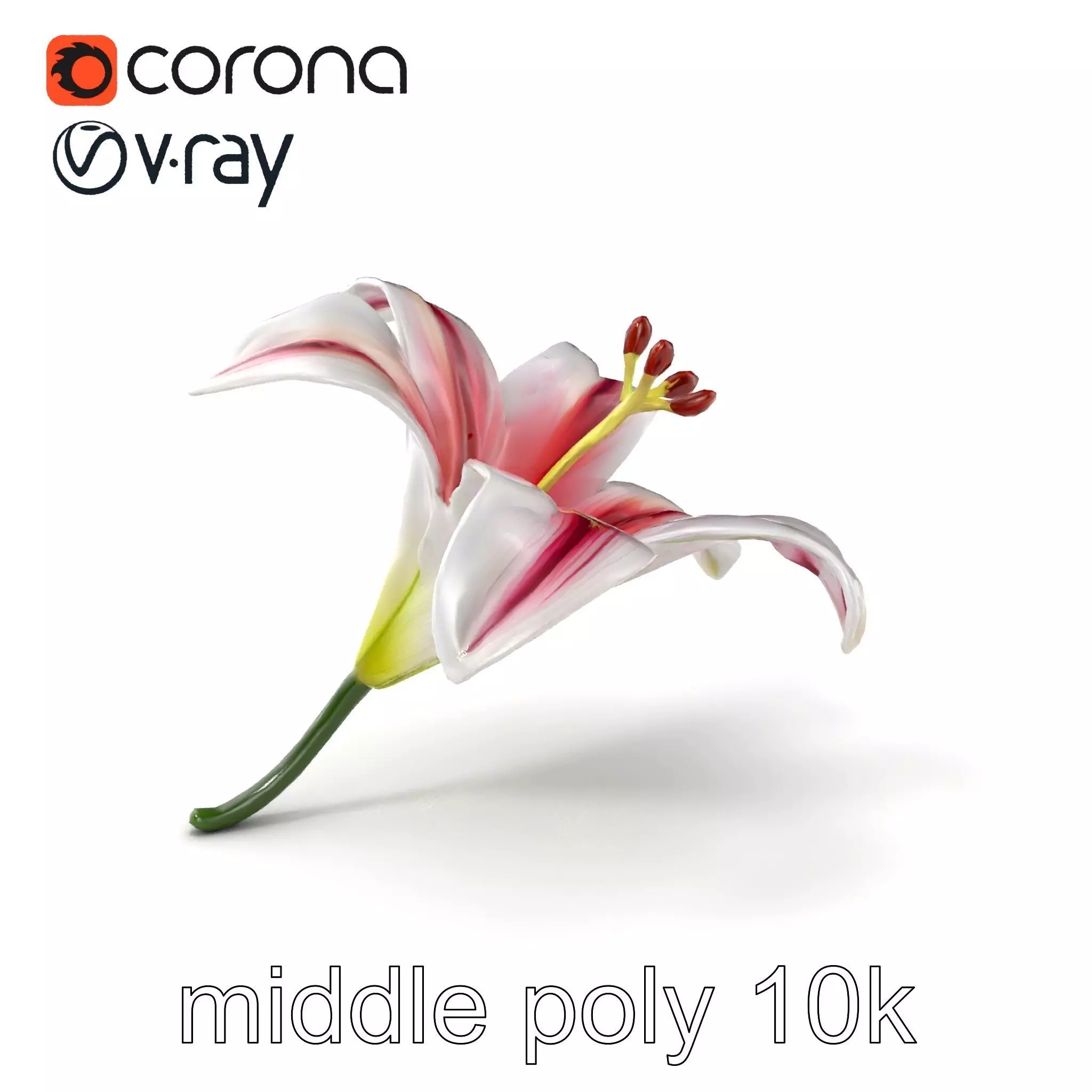 Martagon Lily Floral Model Pack with Intricate Petals Low-poly 3D model_0