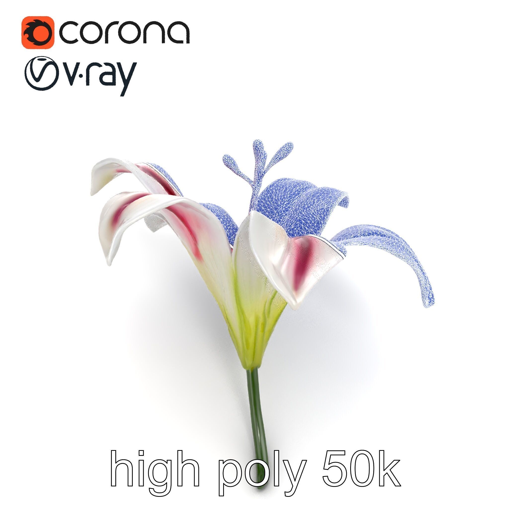 Martagon Lily Floral Model Pack with Intricate Petals Low-poly 3D model_26