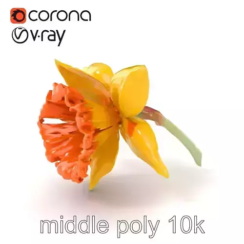 Yellow Narcissus with Apricot Trumpet model pack