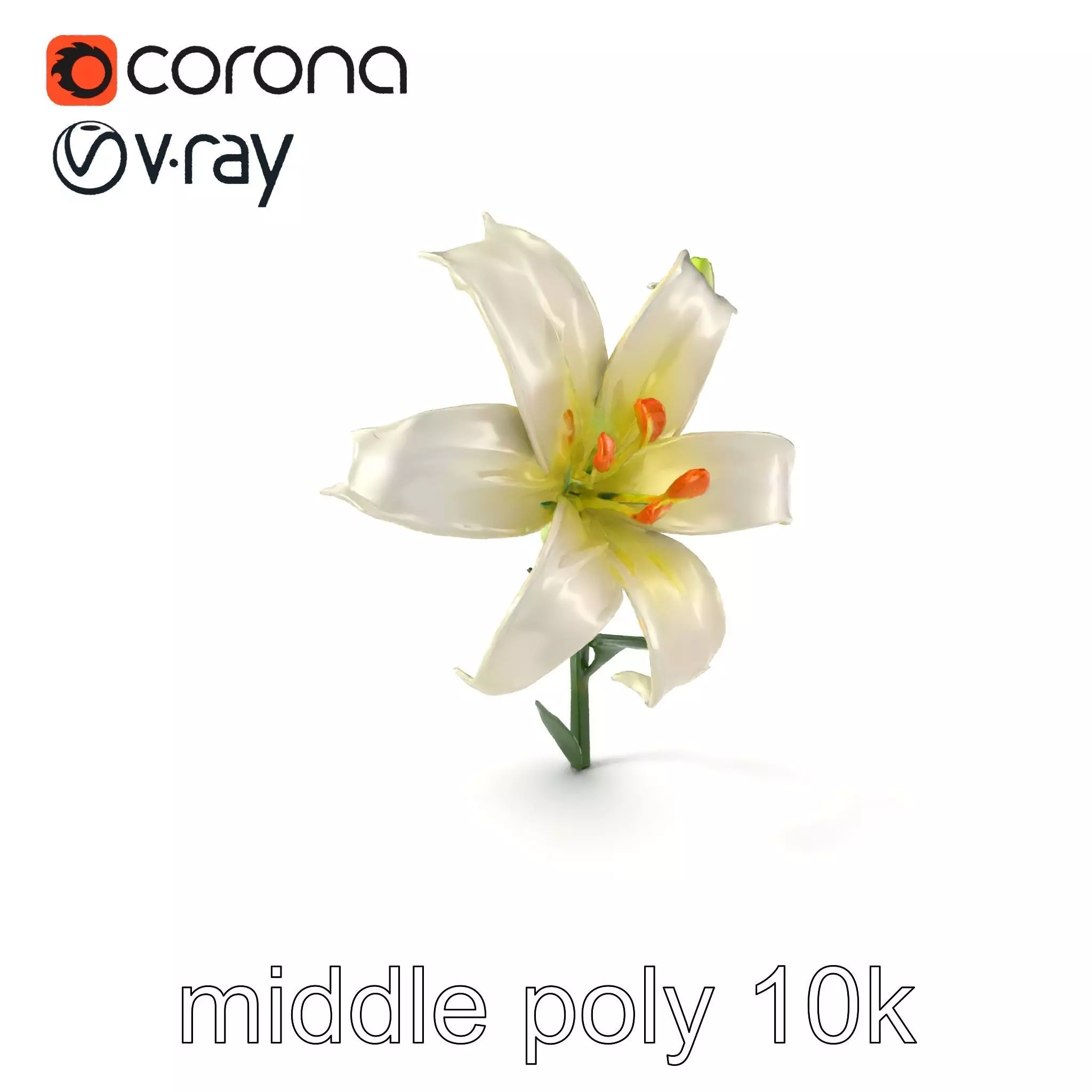 Majestic White Lily Floral Sculpture model pack Low-poly 3D model_0