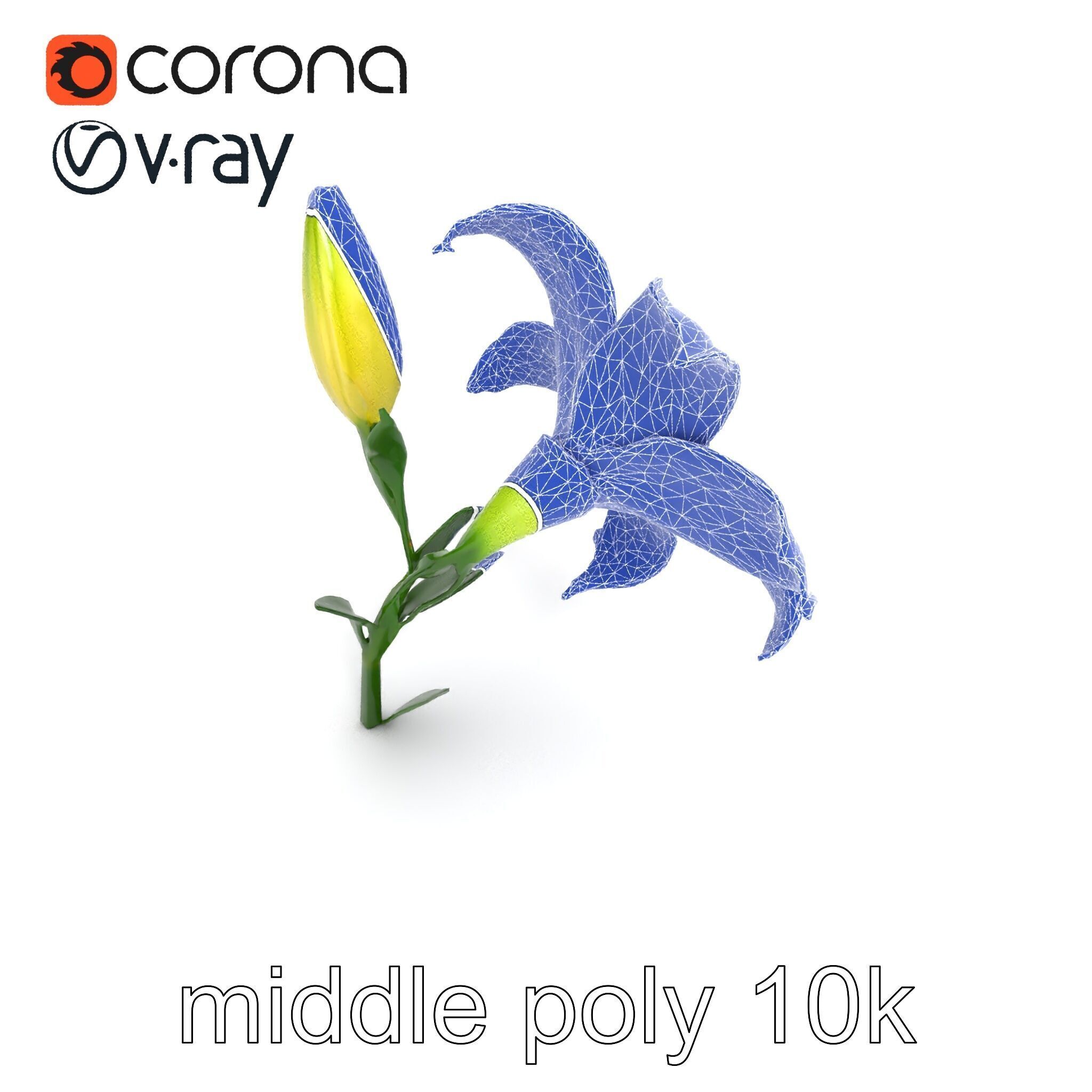 Majestic White Lily Floral Sculpture model pack Low-poly 3D model_15