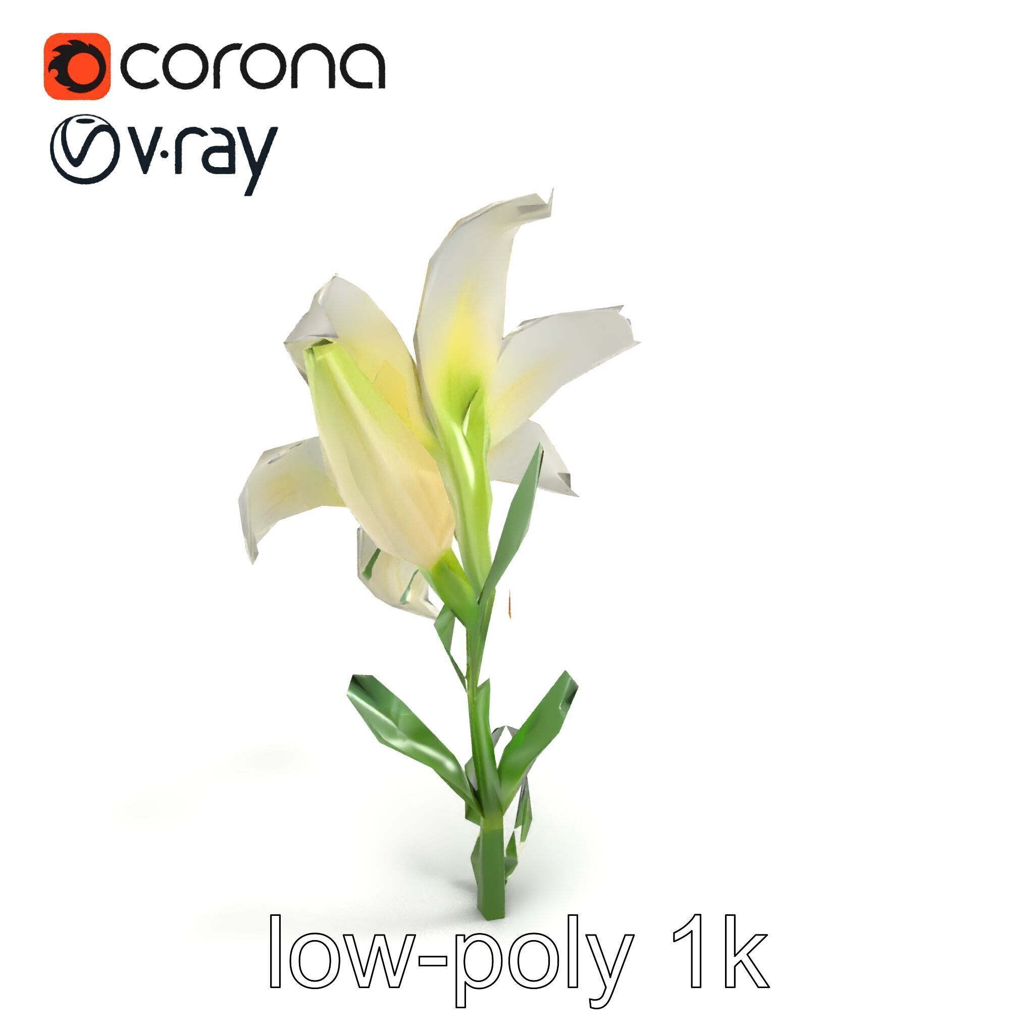Majestic White Lily Floral Sculpture model pack Low-poly 3D model_9