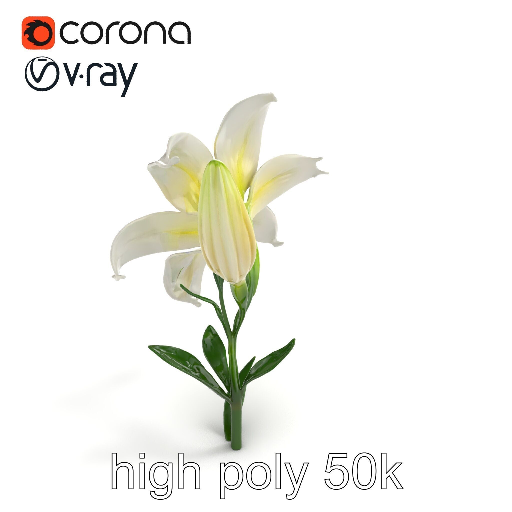 Majestic White Lily Floral Sculpture model pack Low-poly 3D model_16