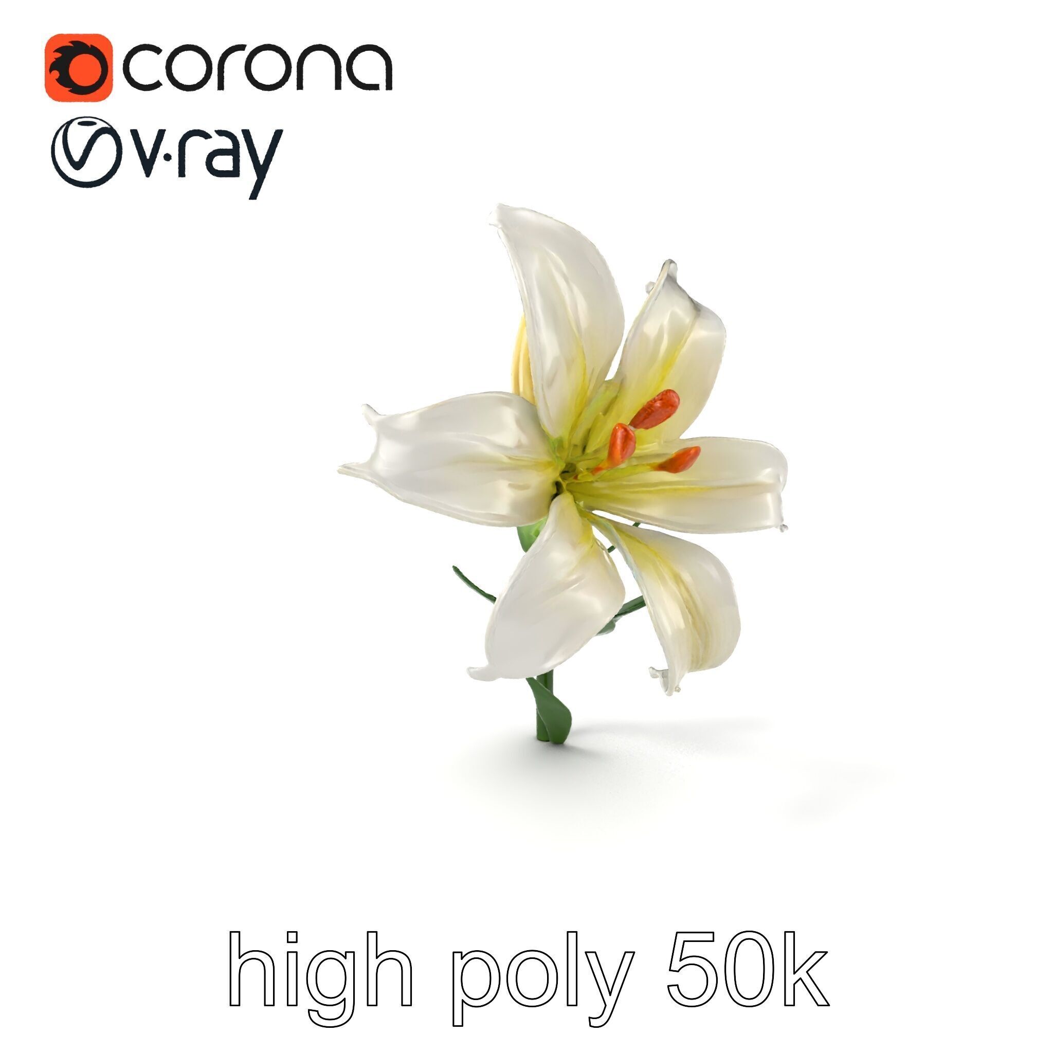 Majestic White Lily Floral Sculpture model pack Low-poly 3D model_2