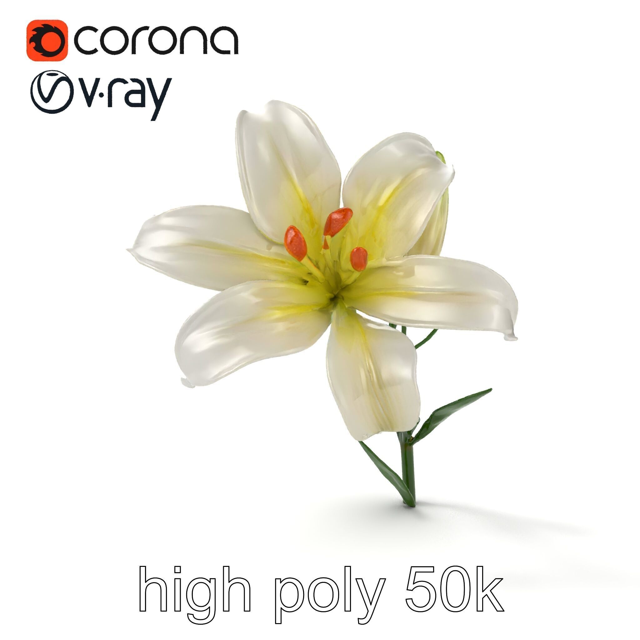 Majestic White Lily Floral Sculpture model pack Low-poly 3D model_30