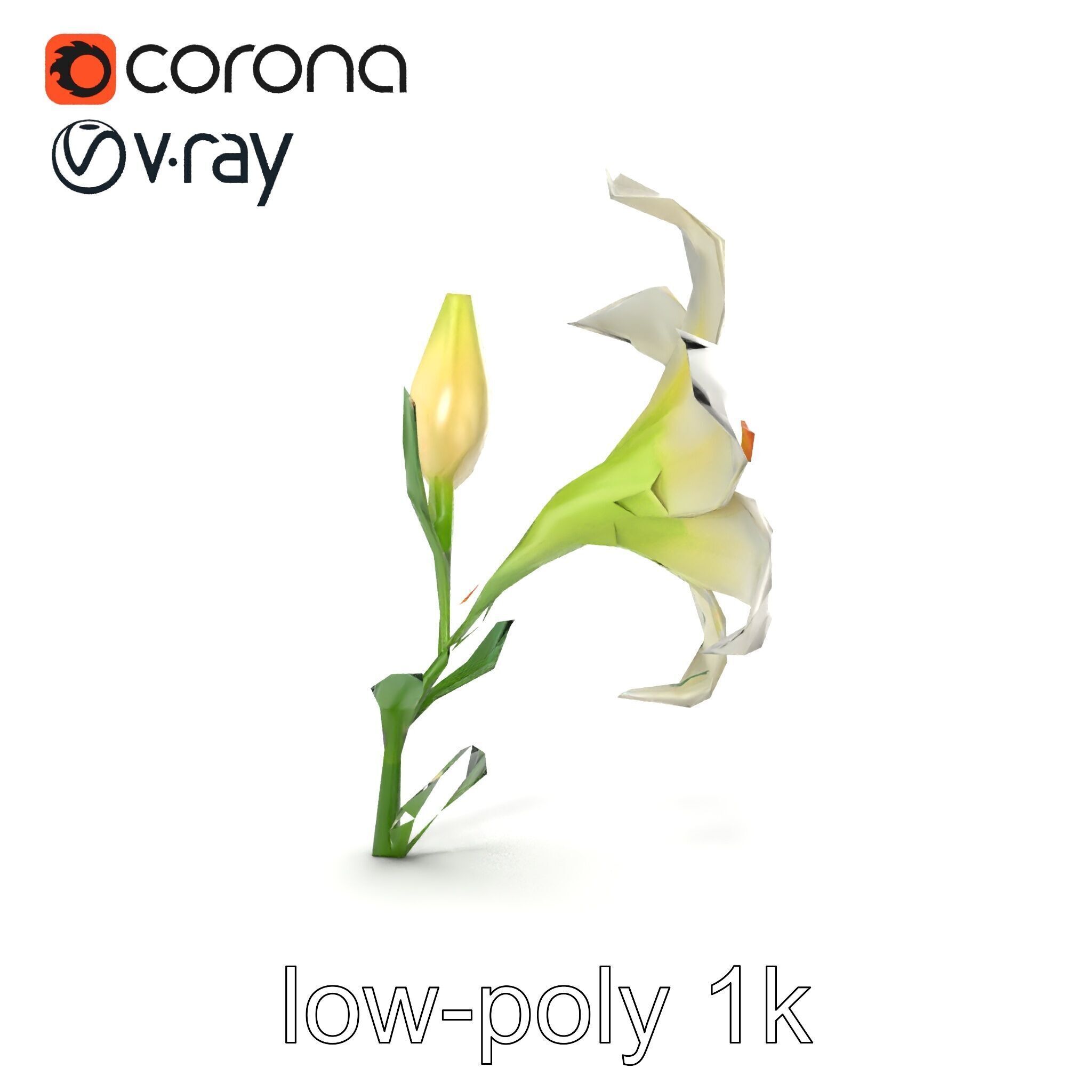 Majestic White Lily Floral Sculpture model pack Low-poly 3D model_11