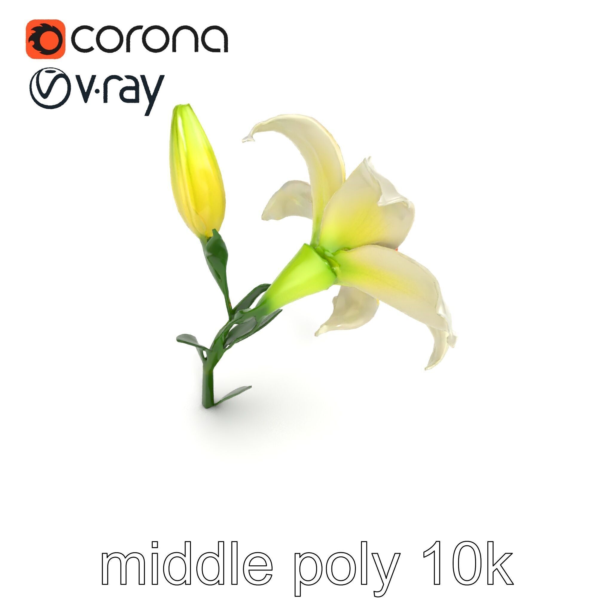 Majestic White Lily Floral Sculpture model pack Low-poly 3D model_28
