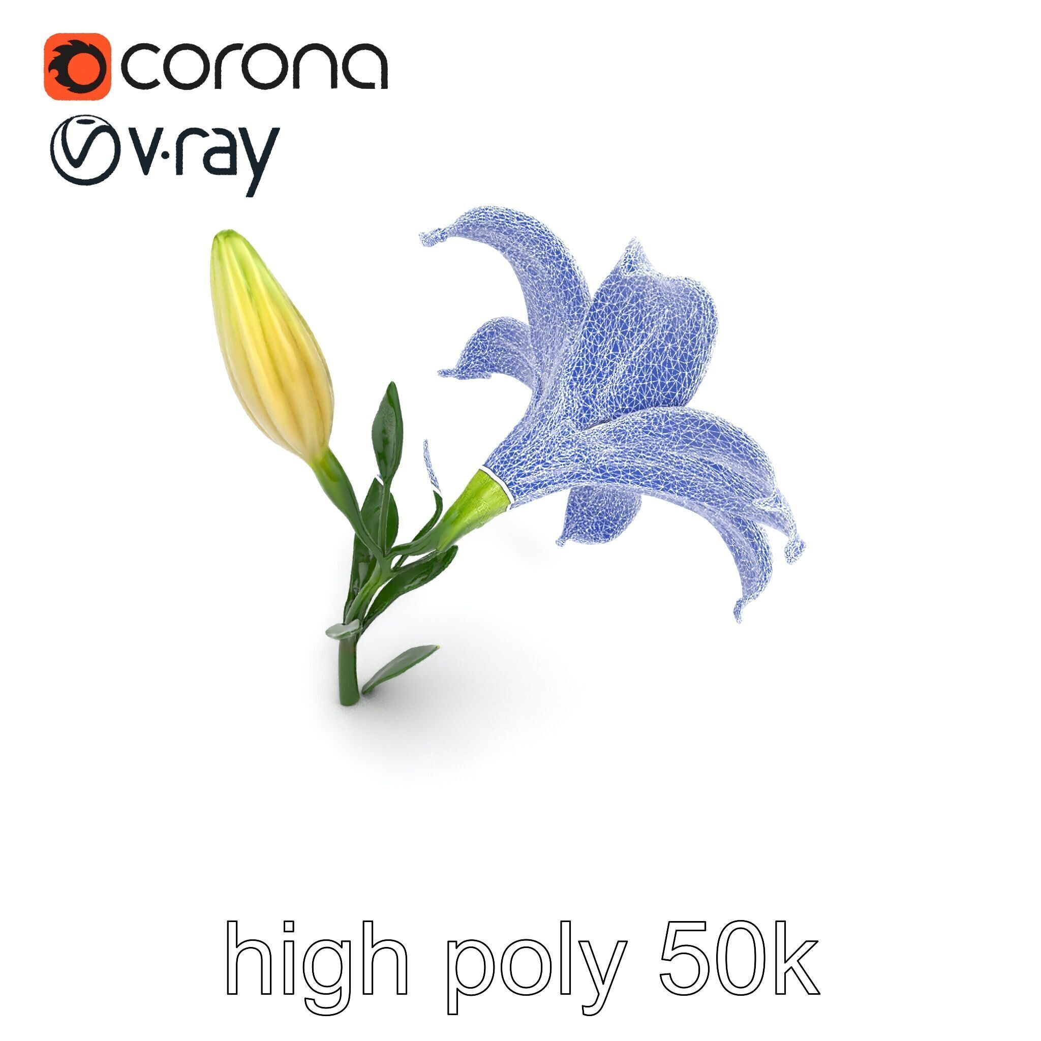 Majestic White Lily Floral Sculpture model pack Low-poly 3D model_31