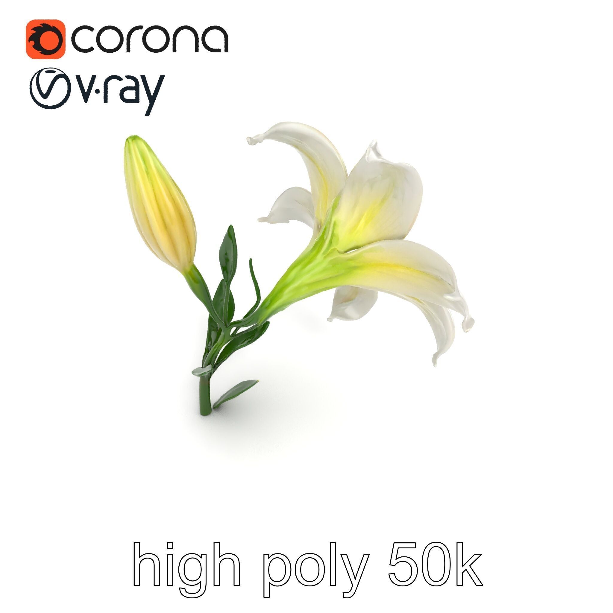 Majestic White Lily Floral Sculpture model pack Low-poly 3D model_23