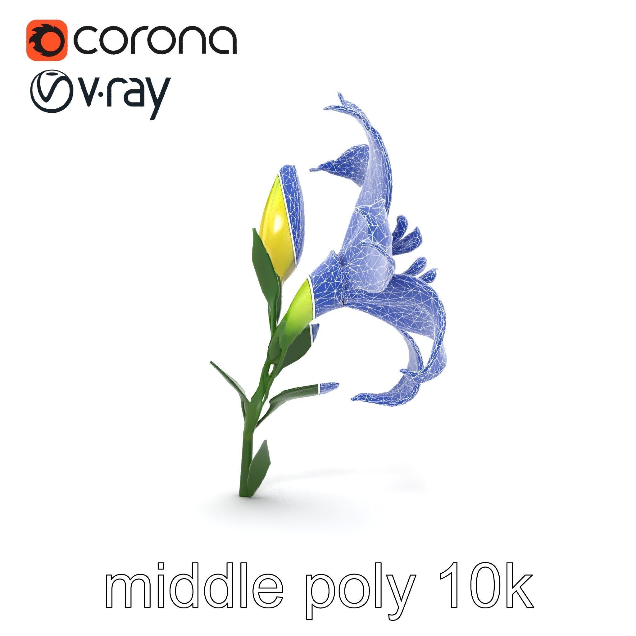 Majestic White Lily Floral Sculpture model pack Low-poly 3D model_22
