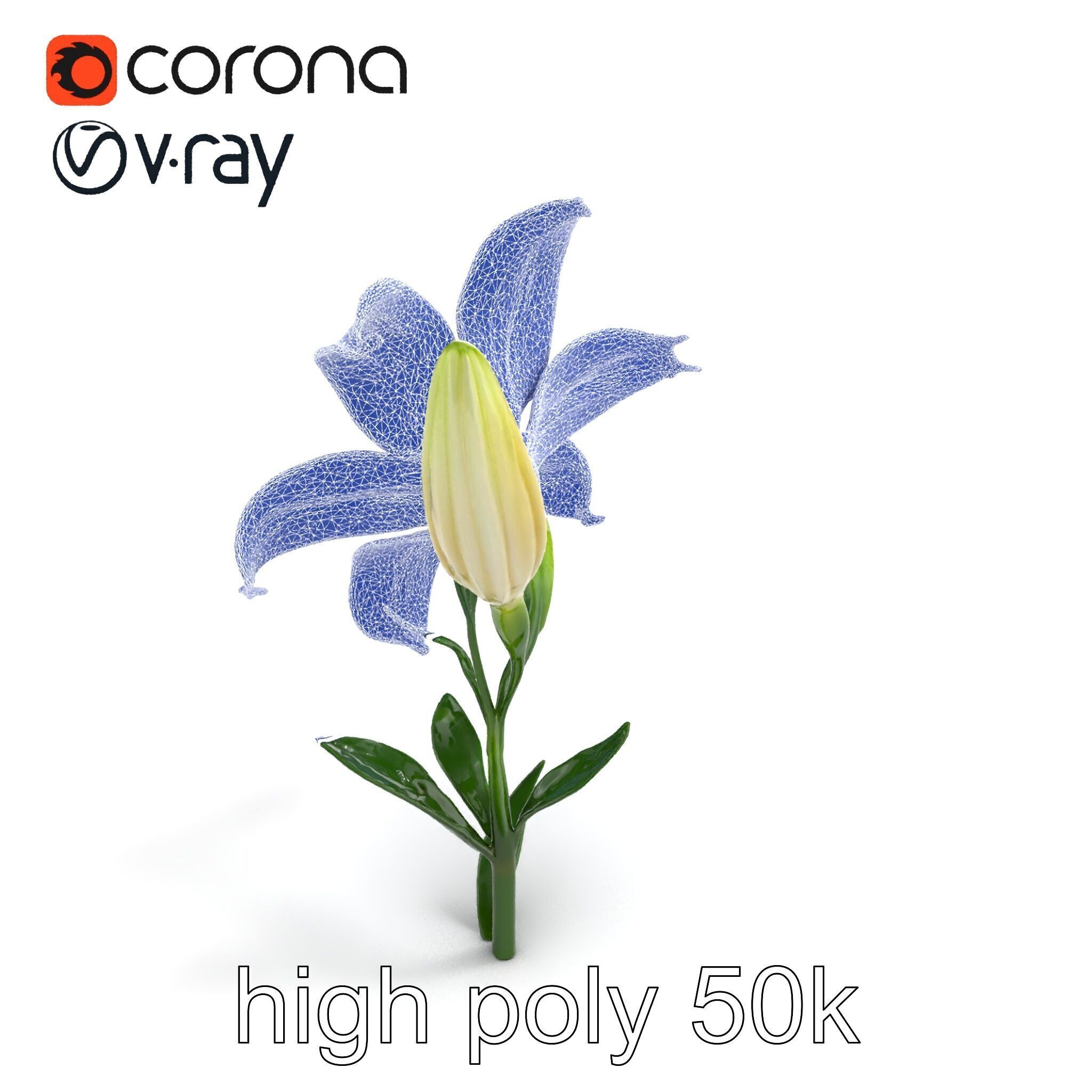 Majestic White Lily Floral Sculpture model pack Low-poly 3D model_14