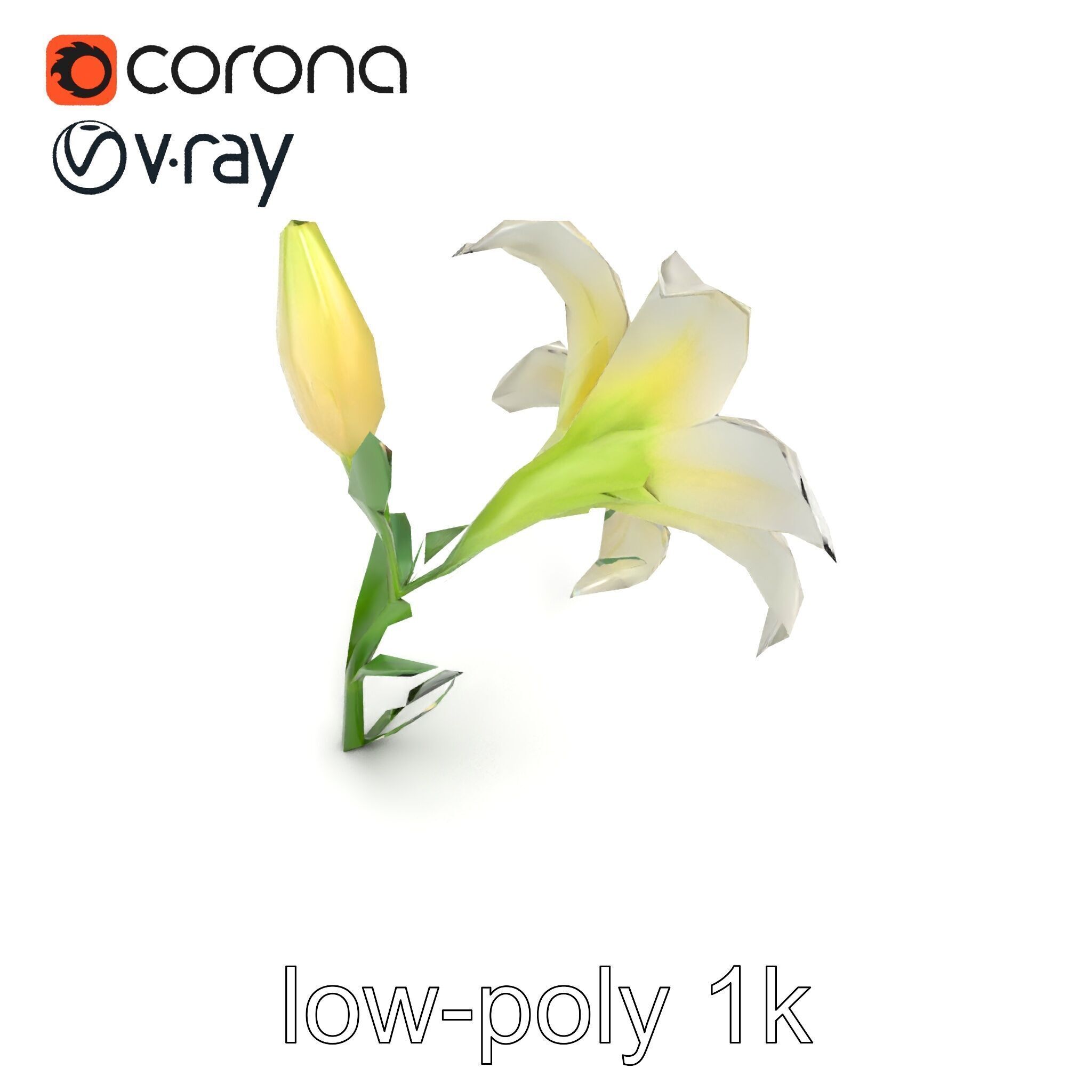 Majestic White Lily Floral Sculpture model pack Low-poly 3D model_12