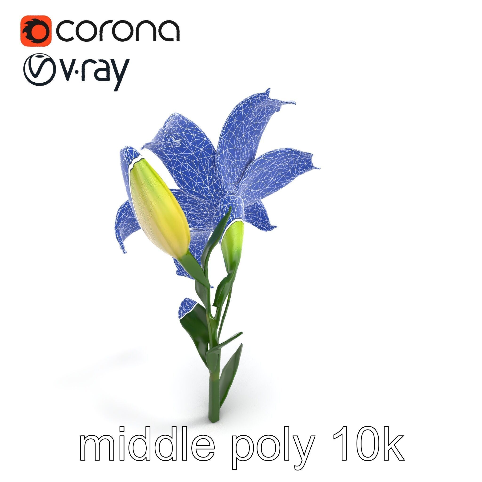Majestic White Lily Floral Sculpture model pack Low-poly 3D model_17