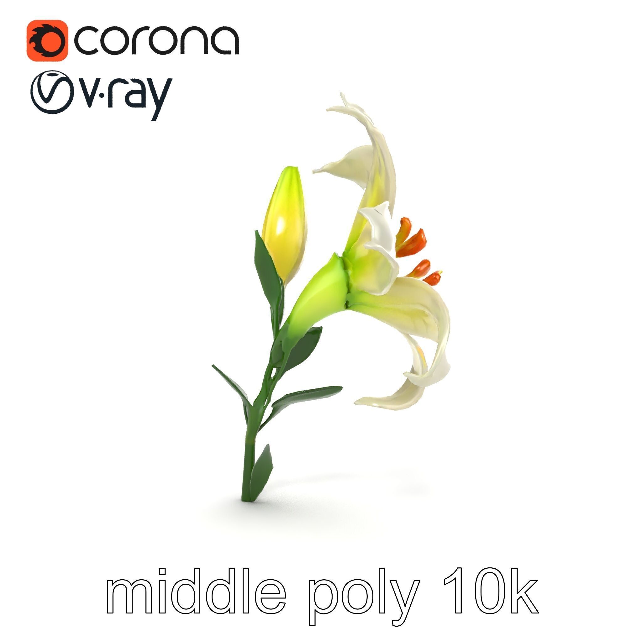Majestic White Lily Floral Sculpture model pack Low-poly 3D model_19