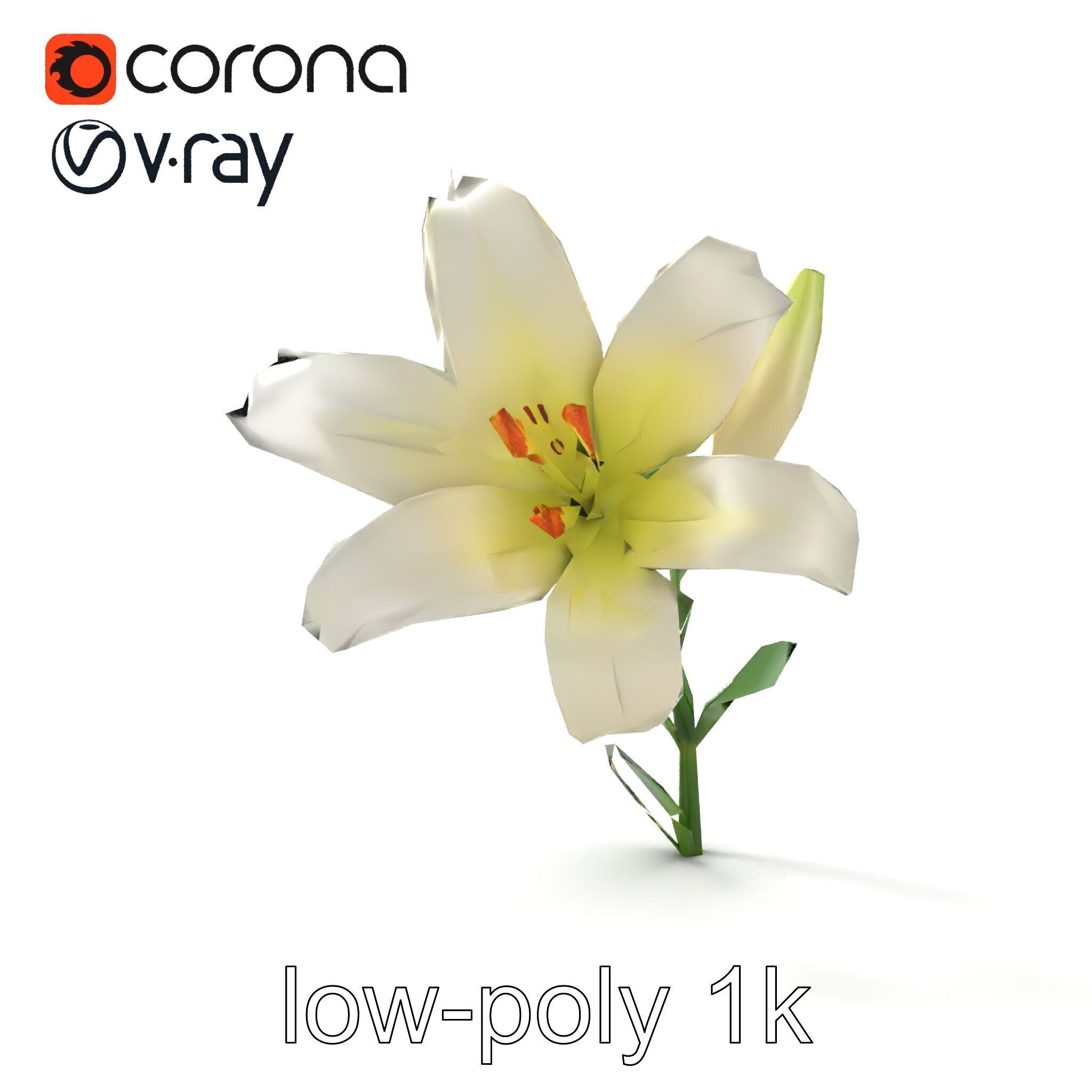Majestic White Lily Floral Sculpture model pack Low-poly 3D model_20