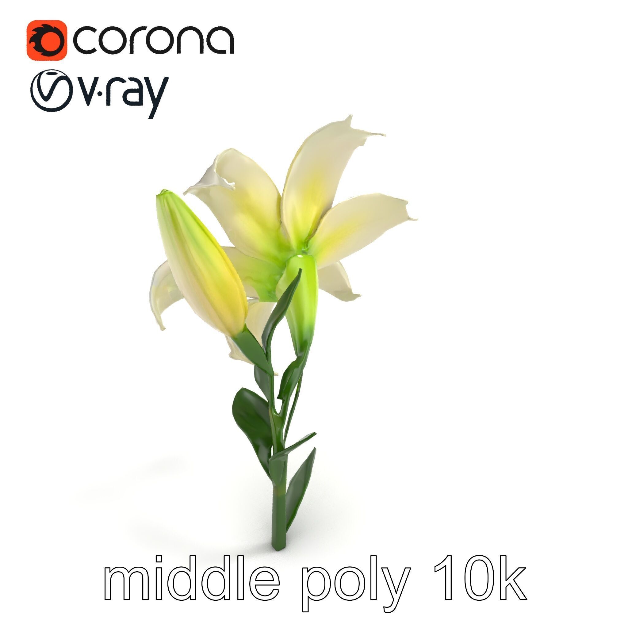 Majestic White Lily Floral Sculpture model pack Low-poly 3D model_8