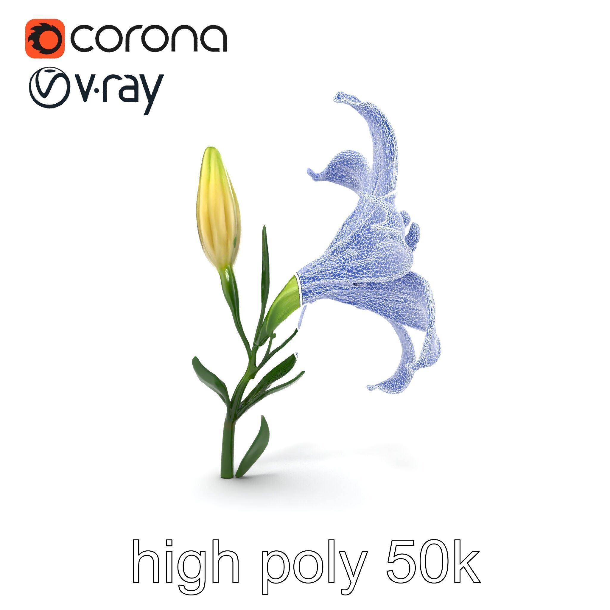 Majestic White Lily Floral Sculpture model pack Low-poly 3D model_32