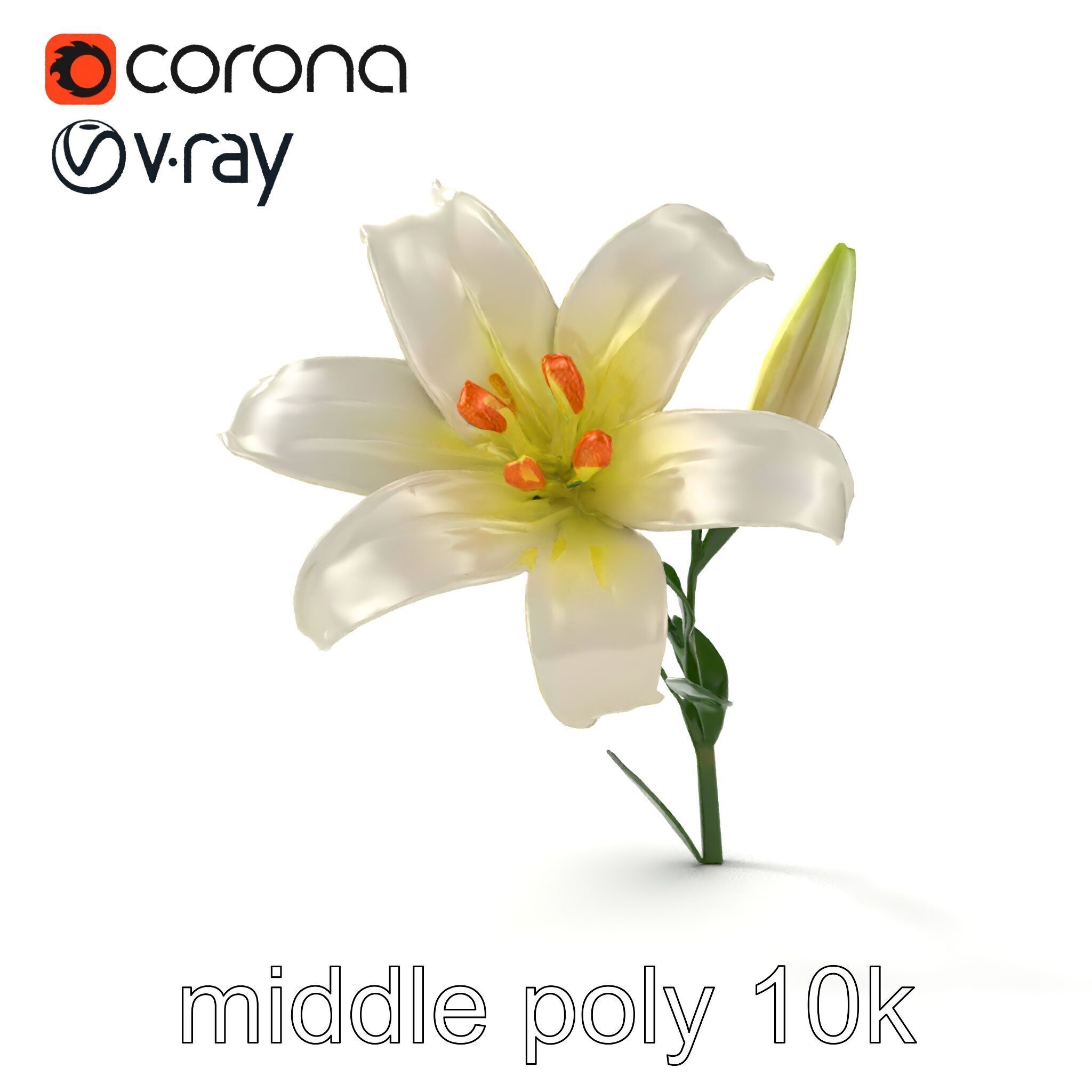 Majestic White Lily Floral Sculpture model pack Low-poly 3D model_18