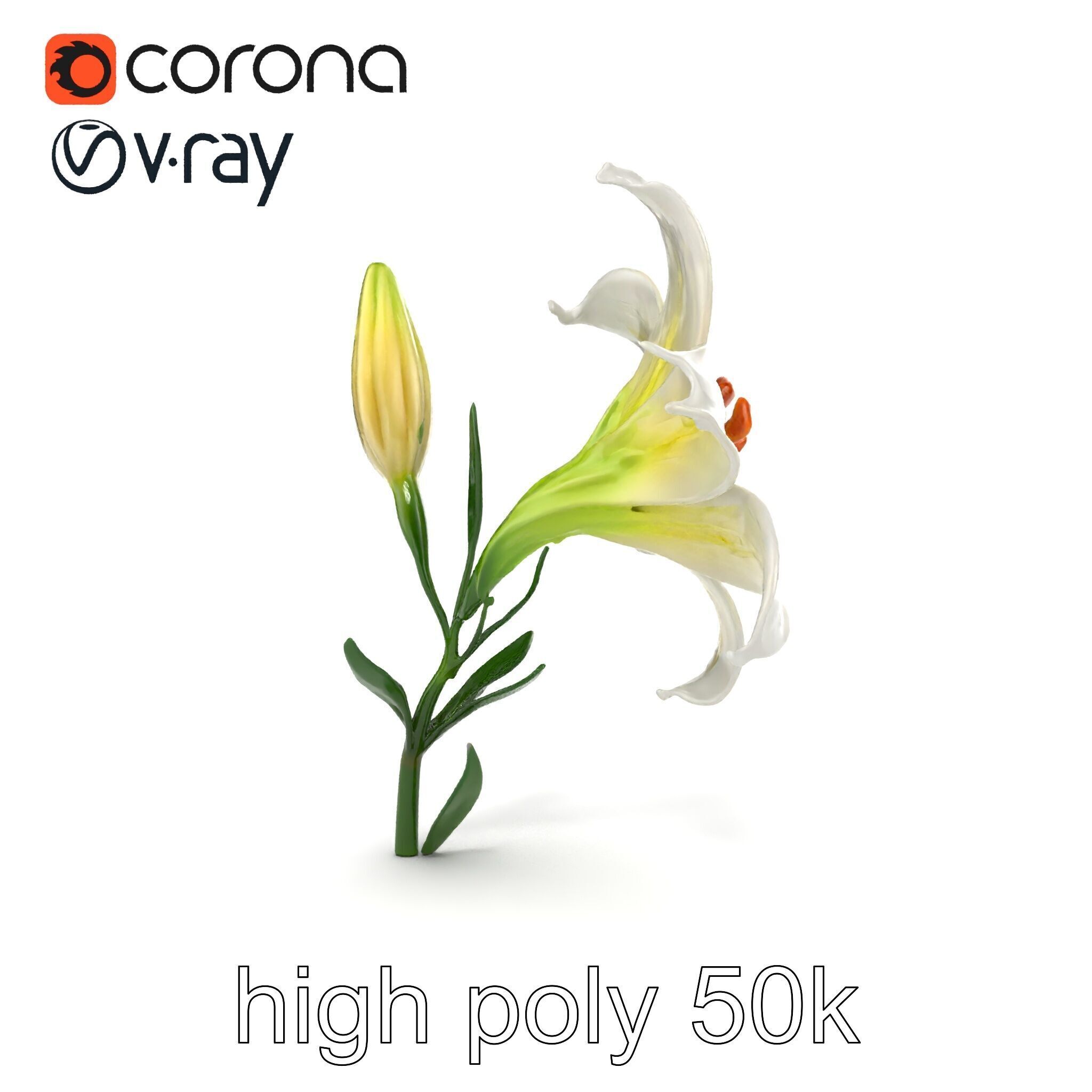 Majestic White Lily Floral Sculpture model pack Low-poly 3D model_21